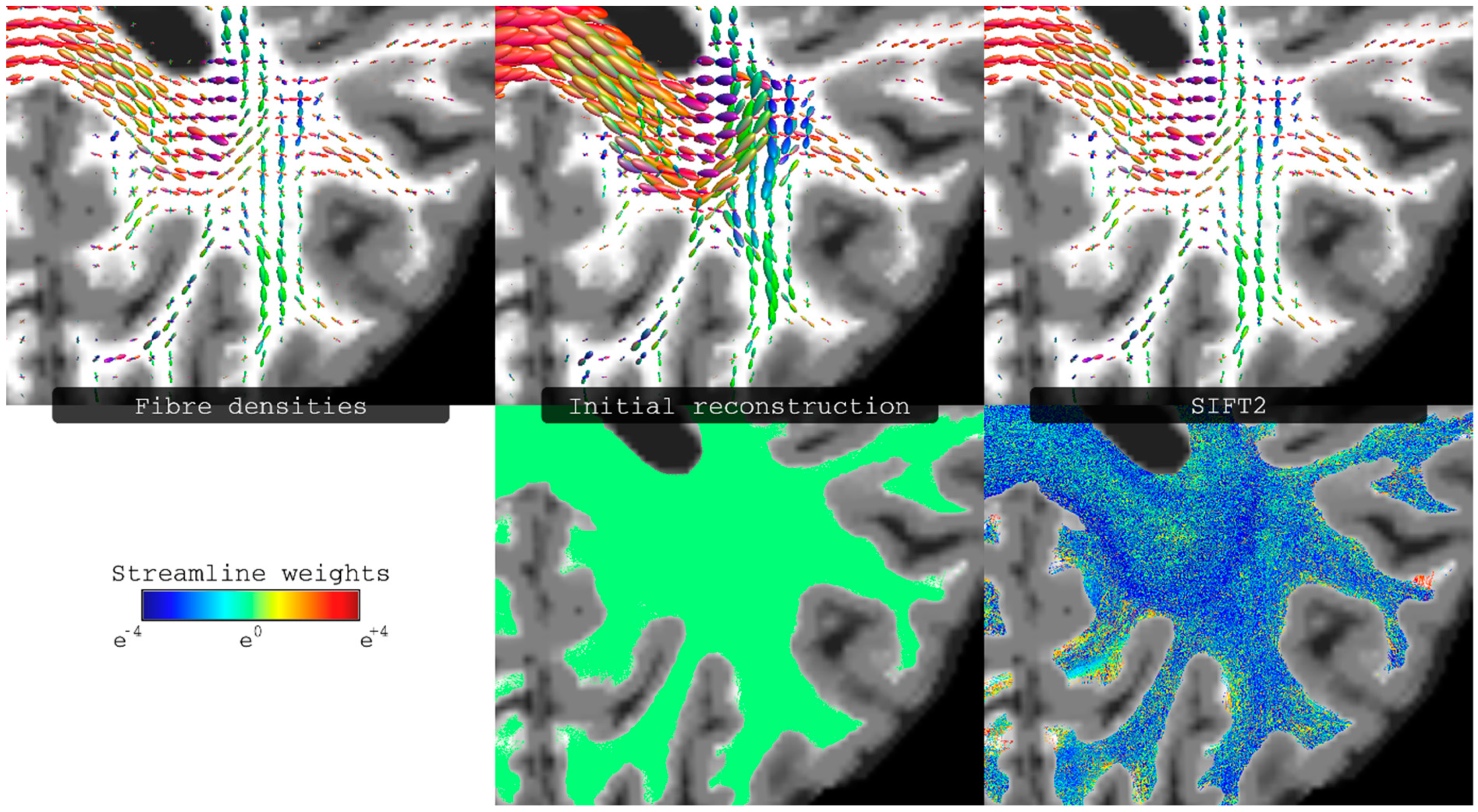 Diagnostics 09 00115 g006