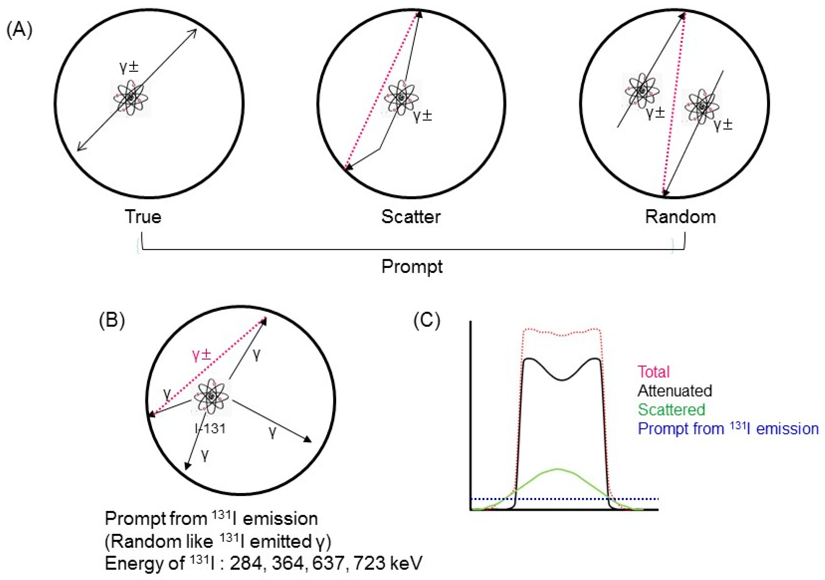 Diagnostics 09 00144 g001