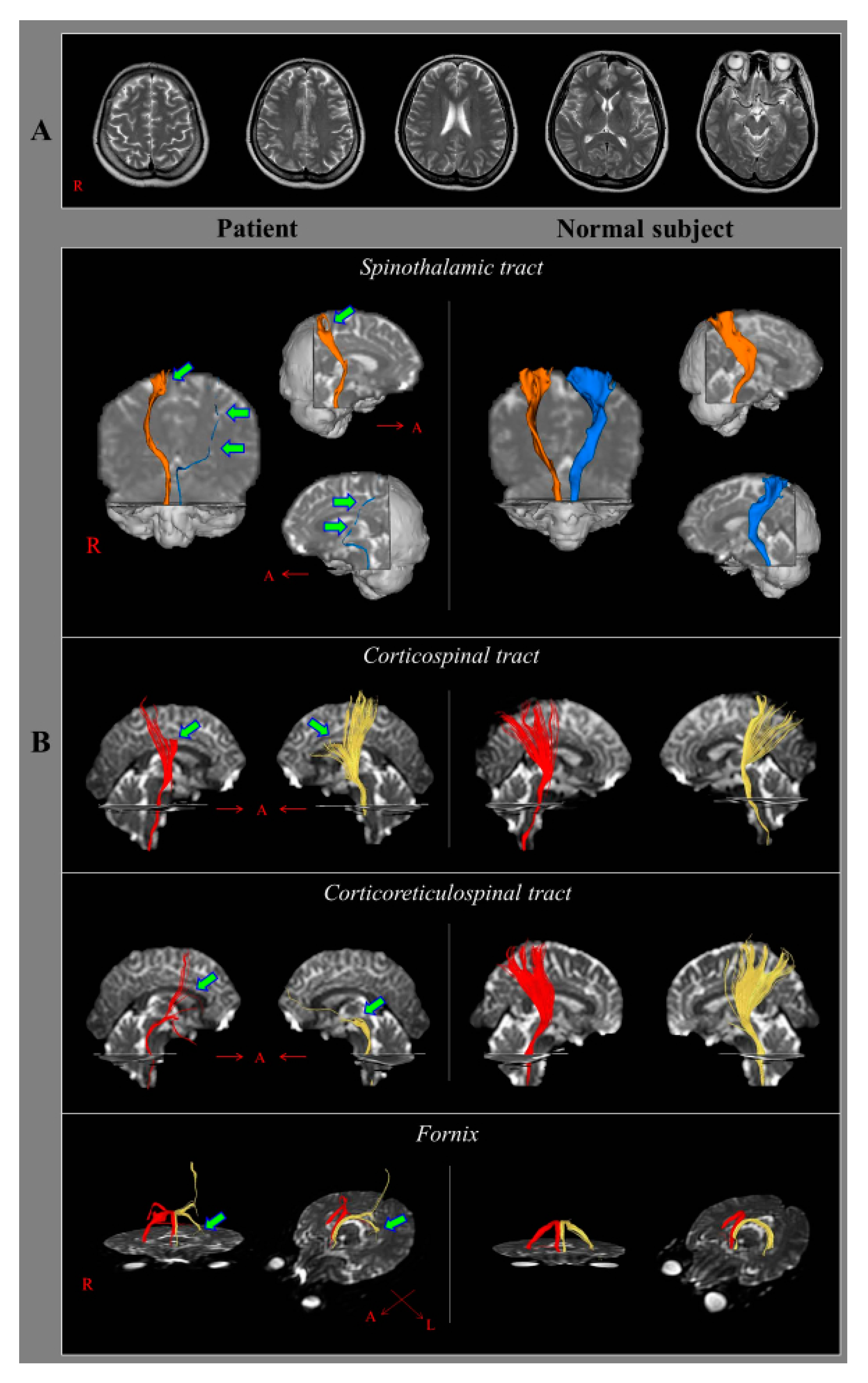 Diagnostics 09 00145 g001