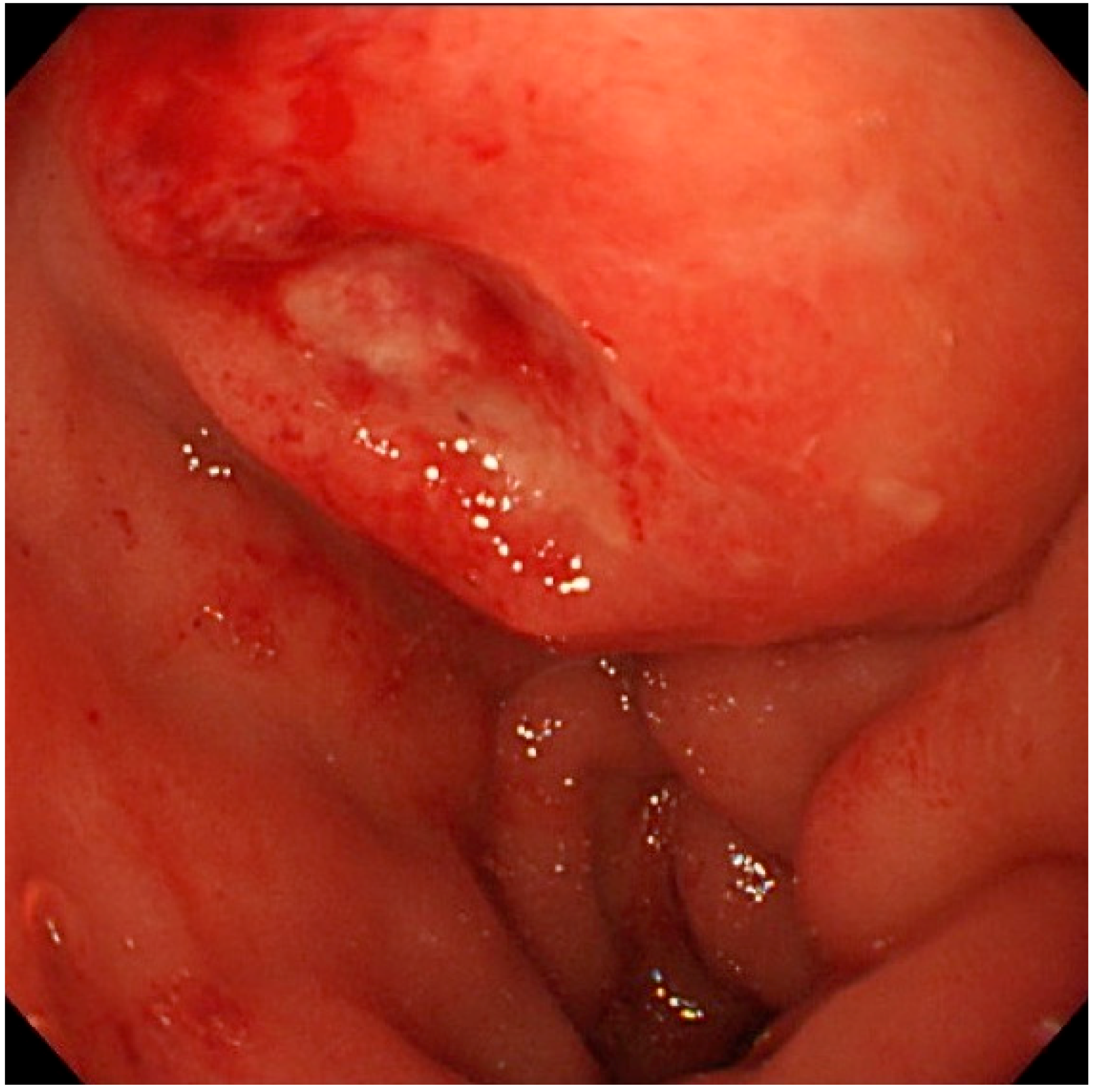 Diagnostics 09 00150 g002