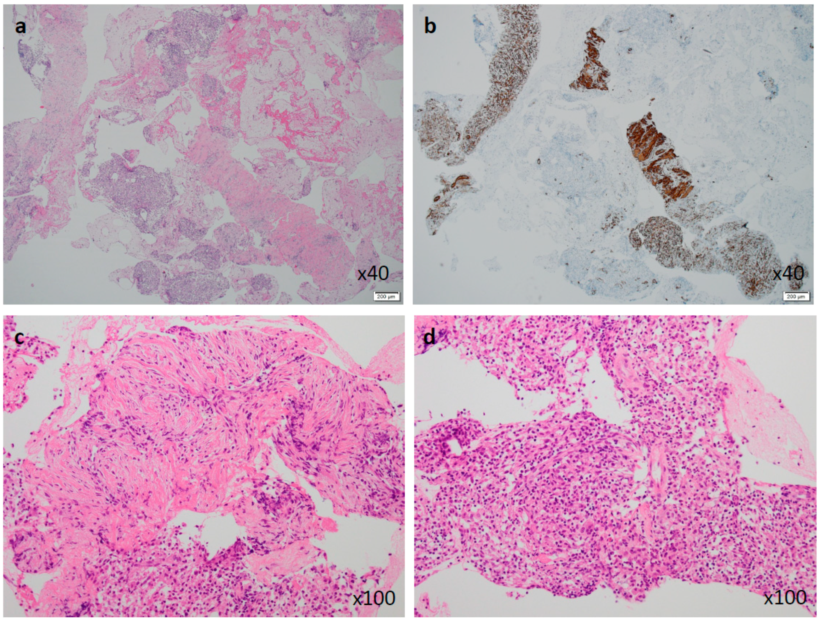 Diagnostics 09 00150 g004