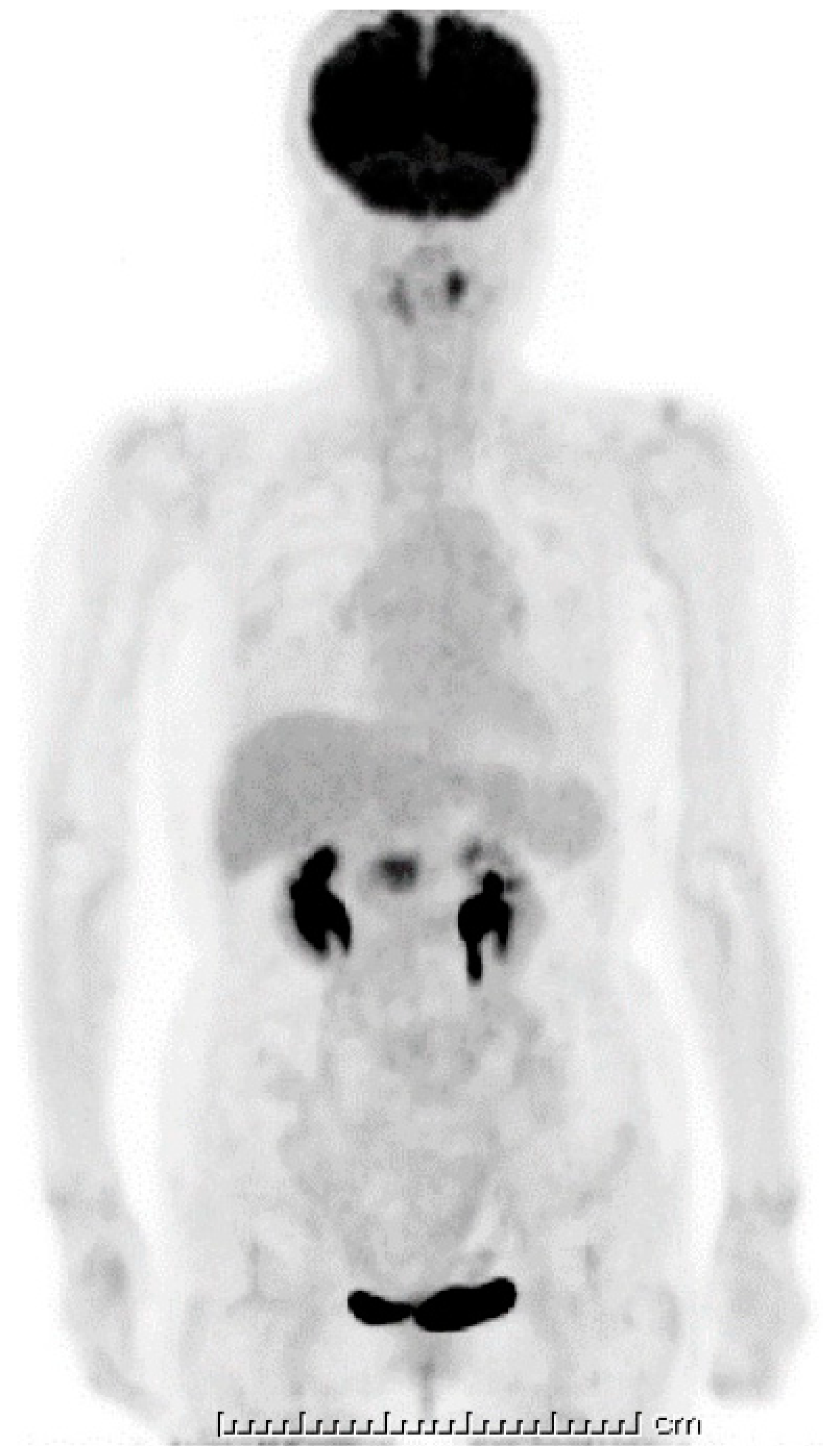 Diagnostics 09 00150 g005