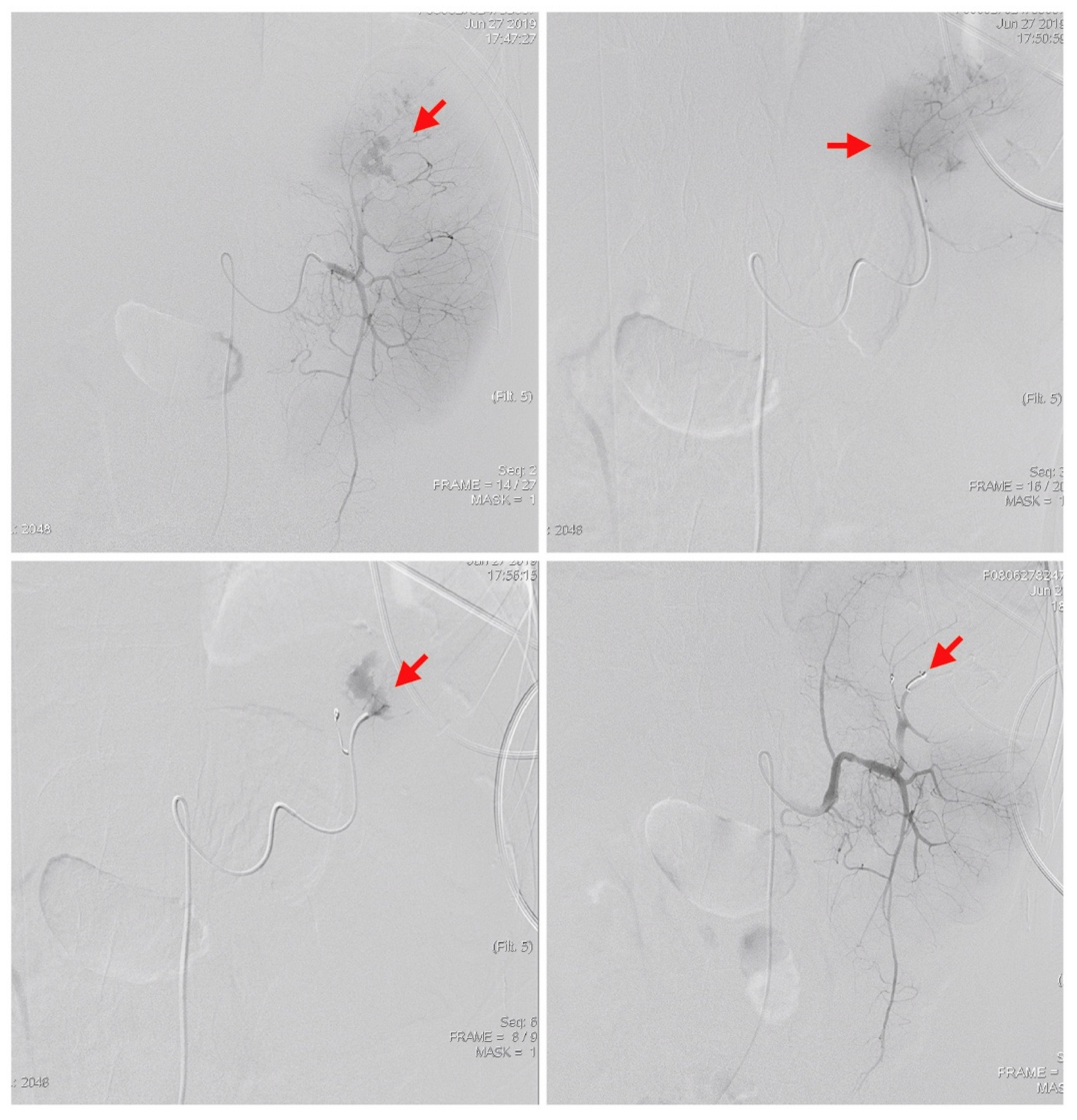 Diagnostics 09 00152 g002