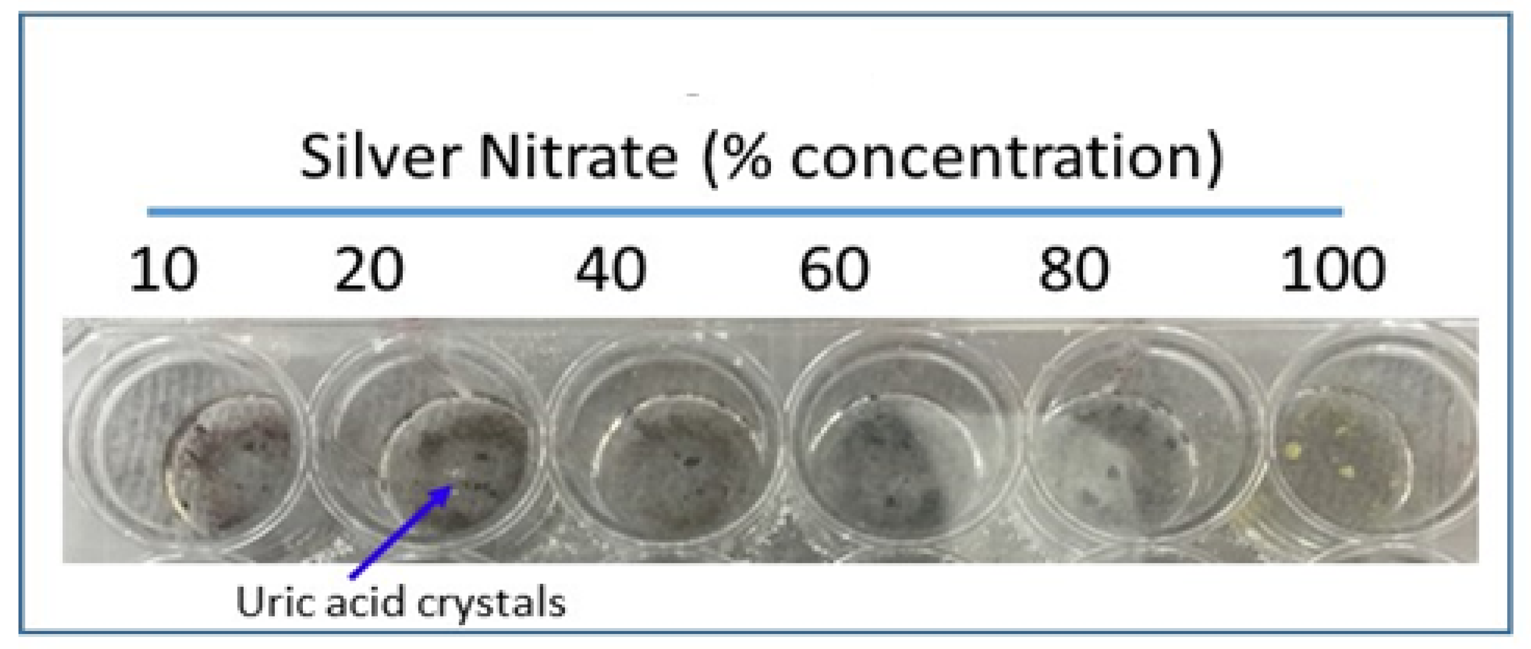 Diagnostics 09 00157 g002