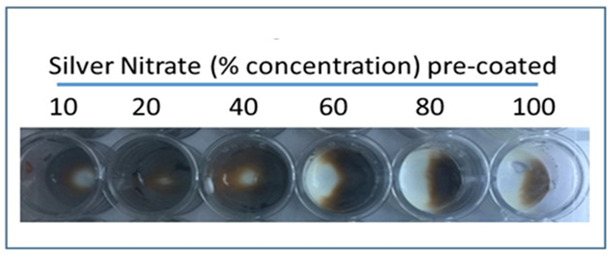 Diagnostics 09 00157 g003