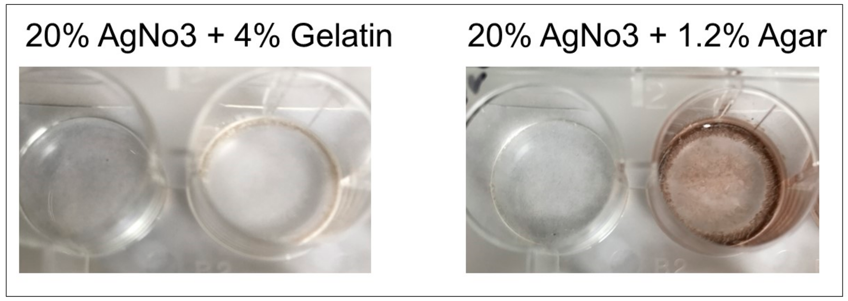 Diagnostics 09 00157 g008