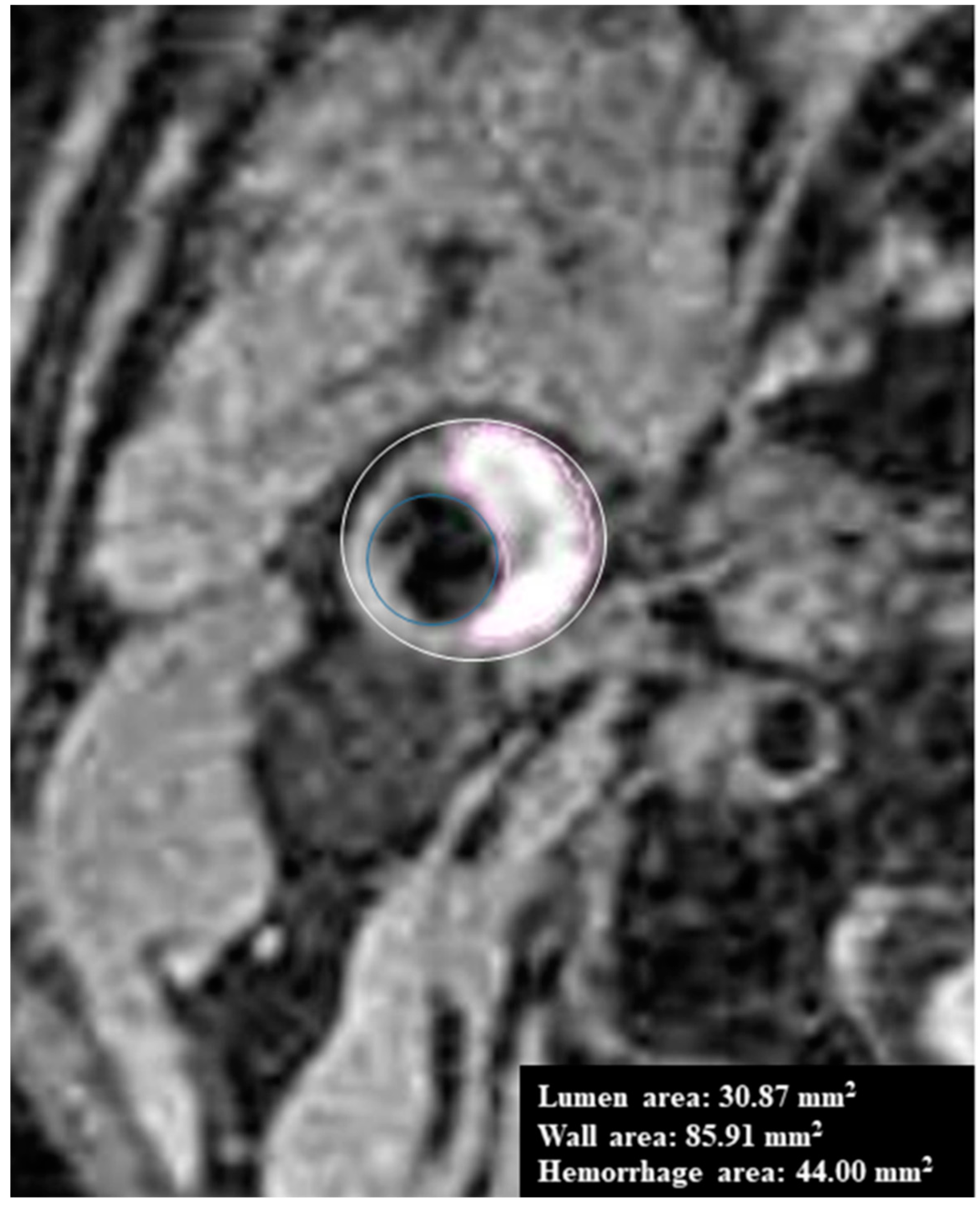 Diagnostics 09 00184 g001