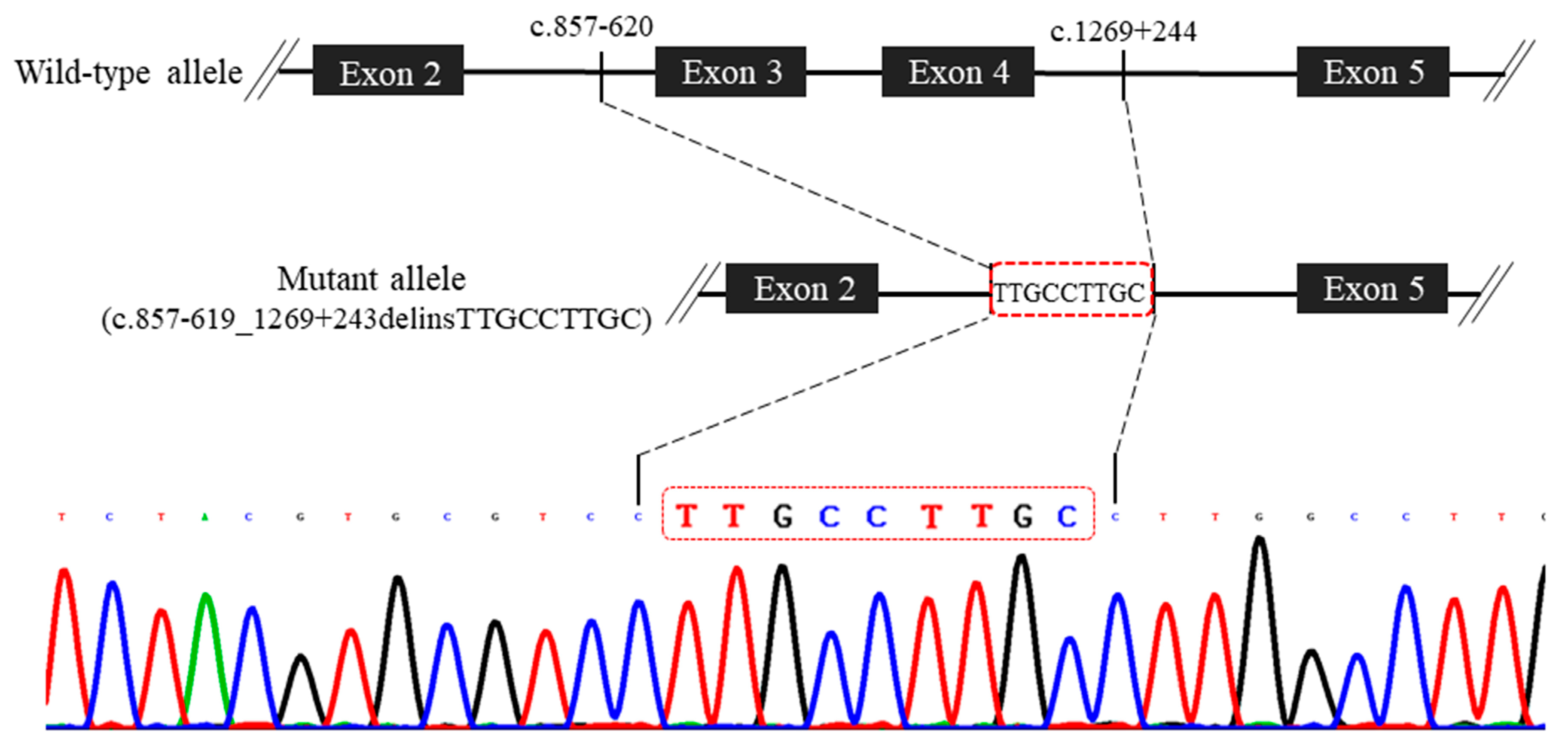 Diagnostics 09 00185 g004