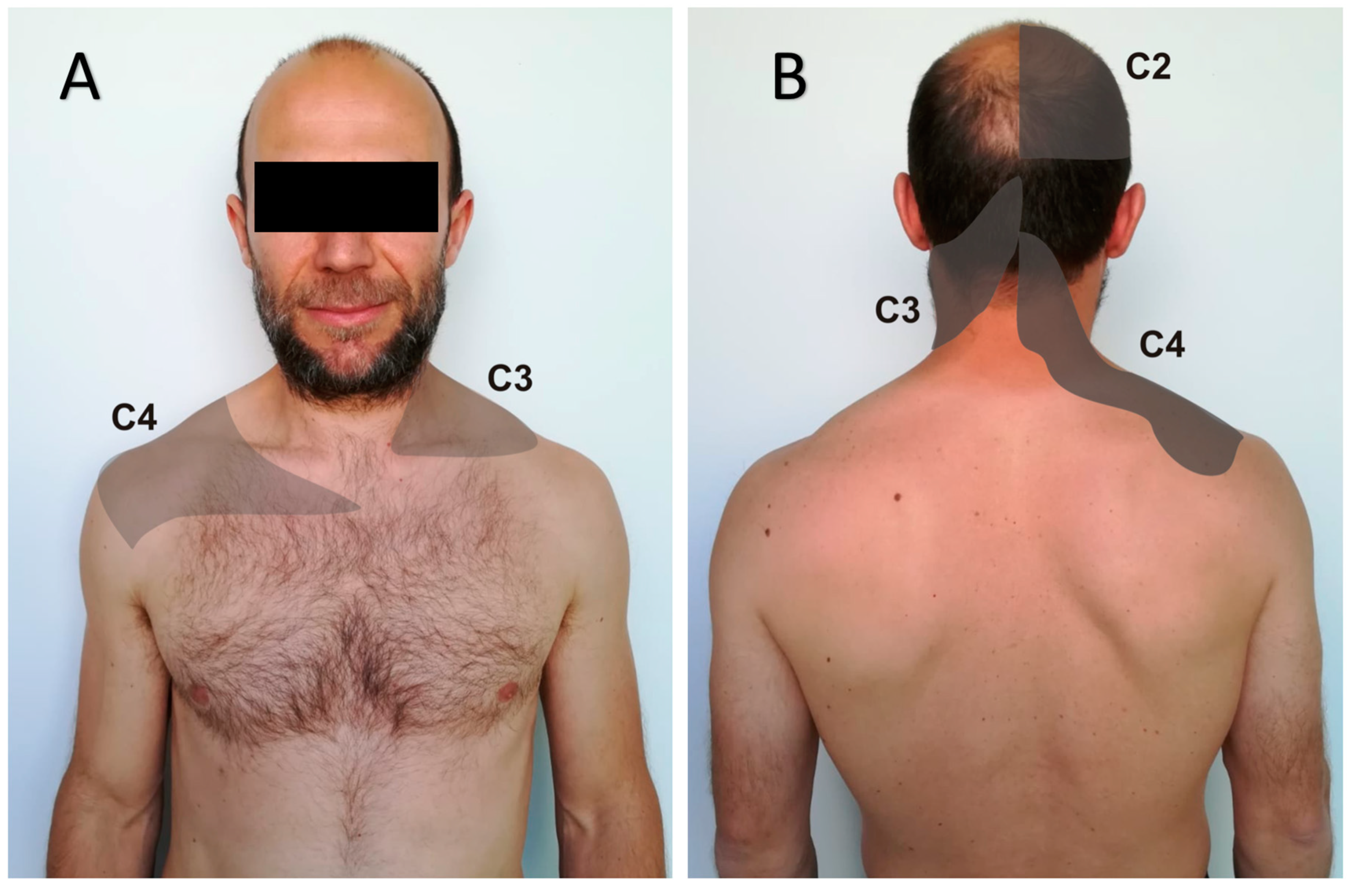 Diagnostics 09 00186 g001