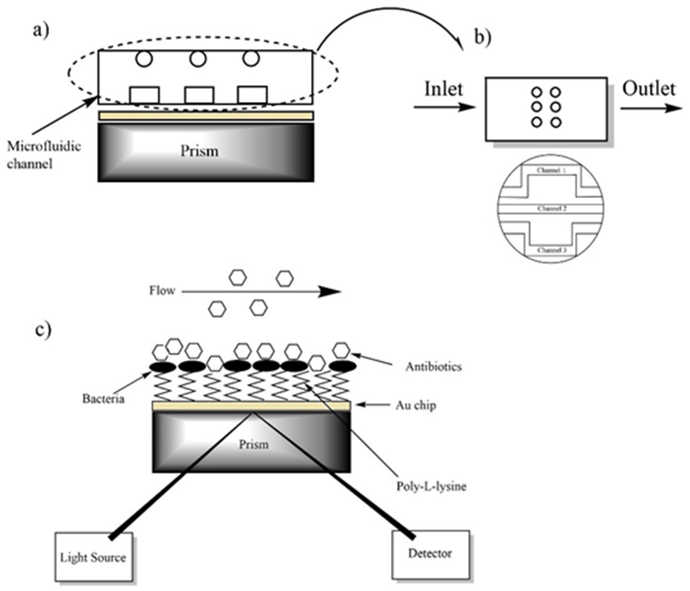 Diagnostics 09 00191 g001