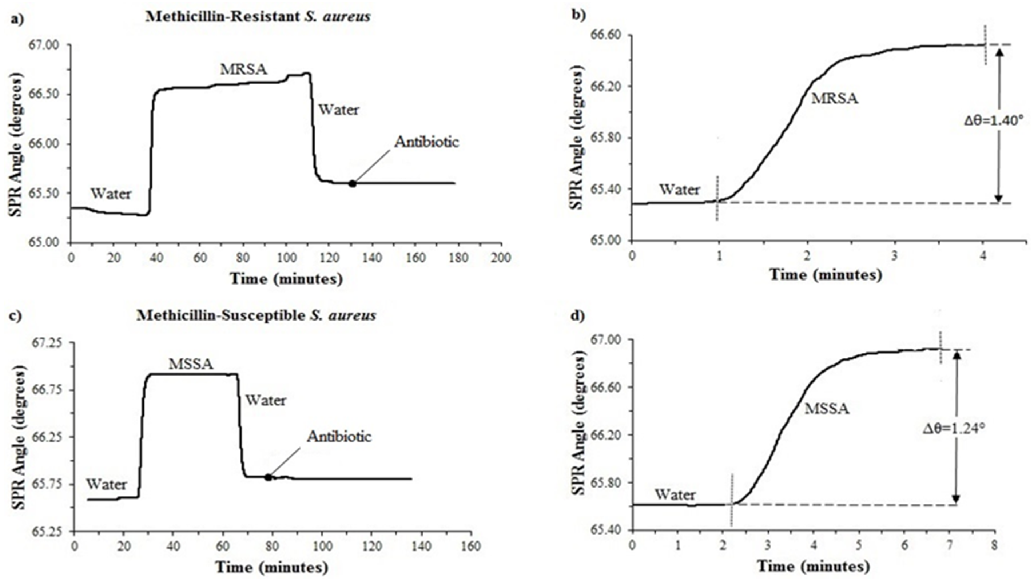 Diagnostics 09 00191 g003