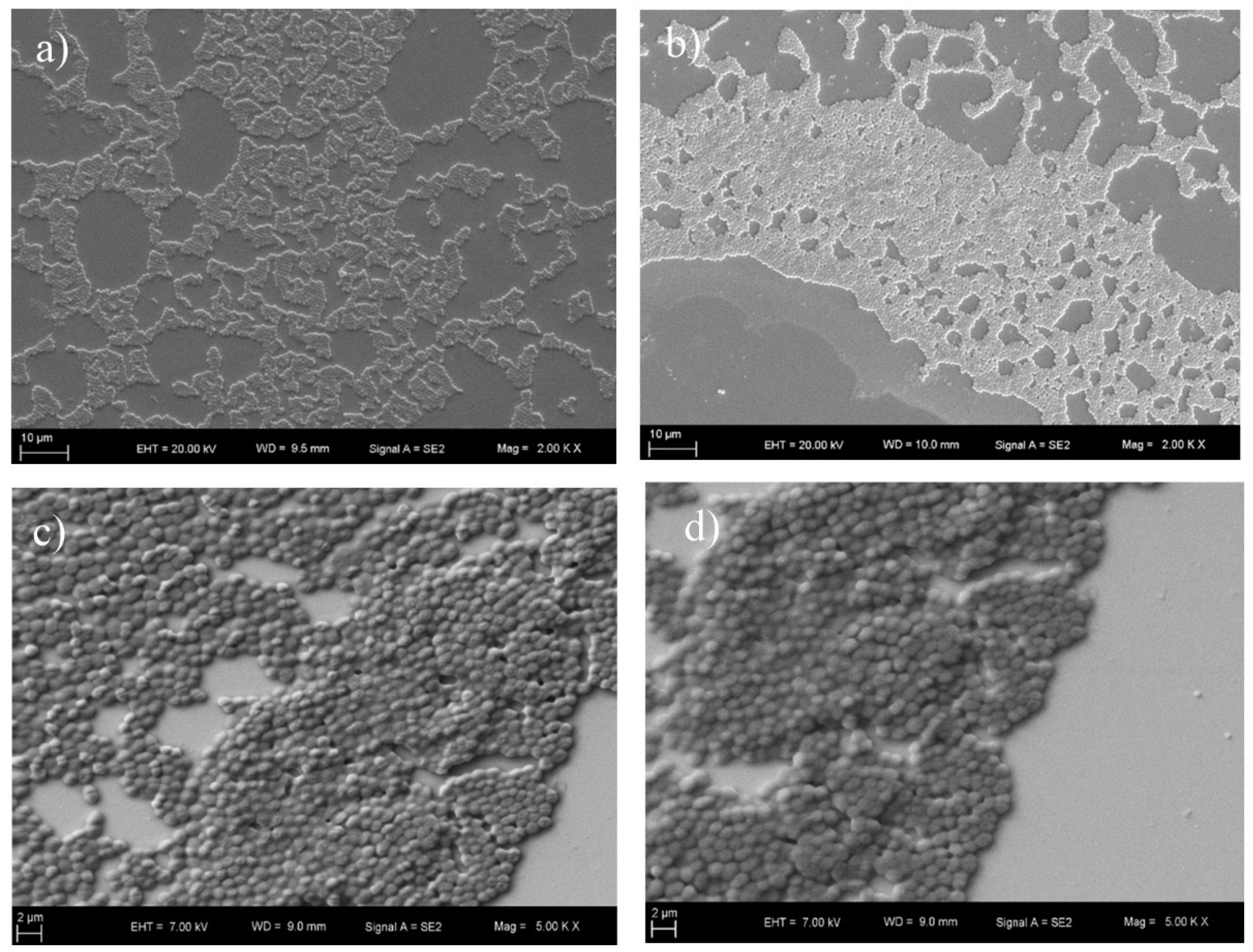 Diagnostics 09 00191 g008