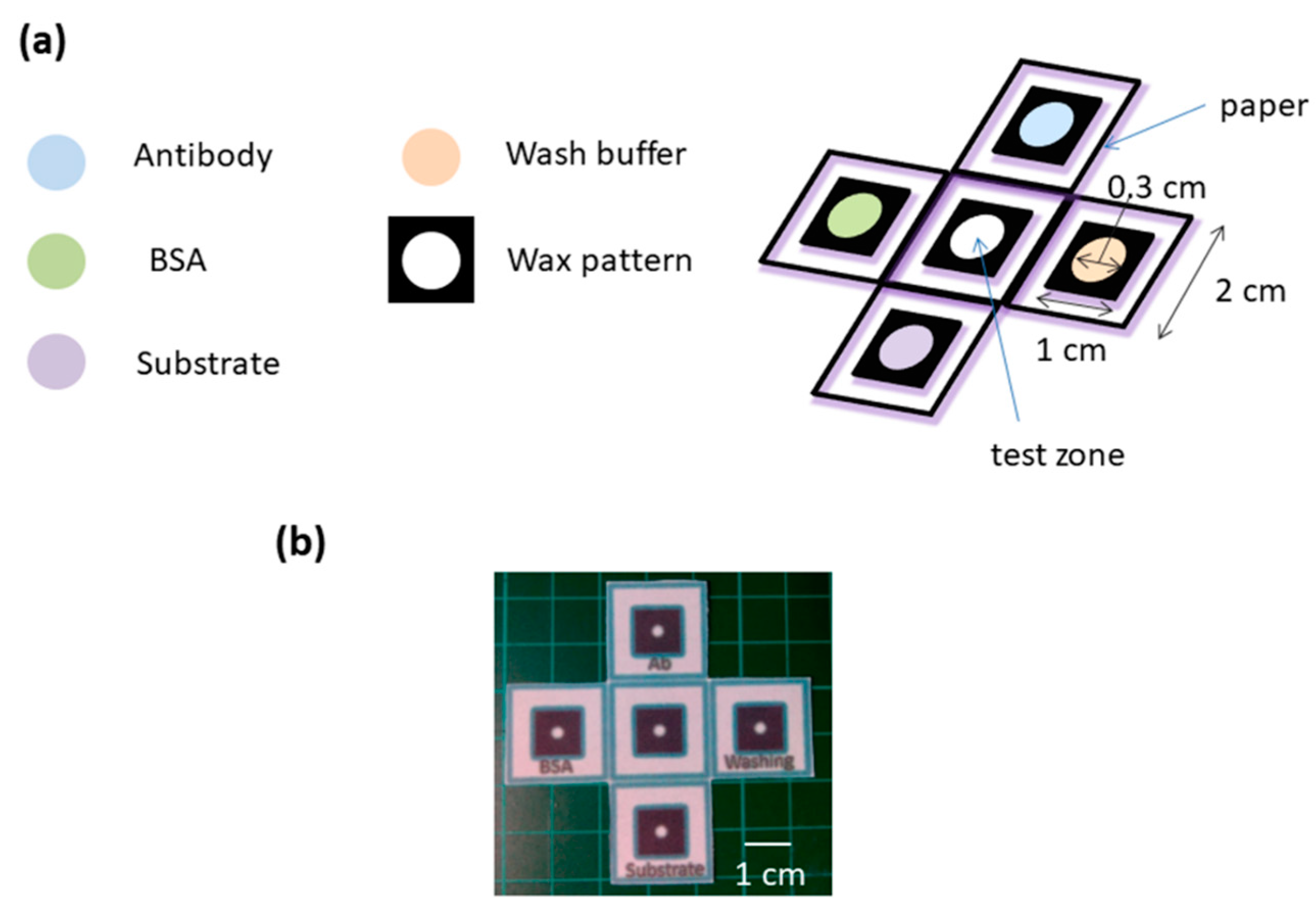 Diagnostics 09 00203 g001