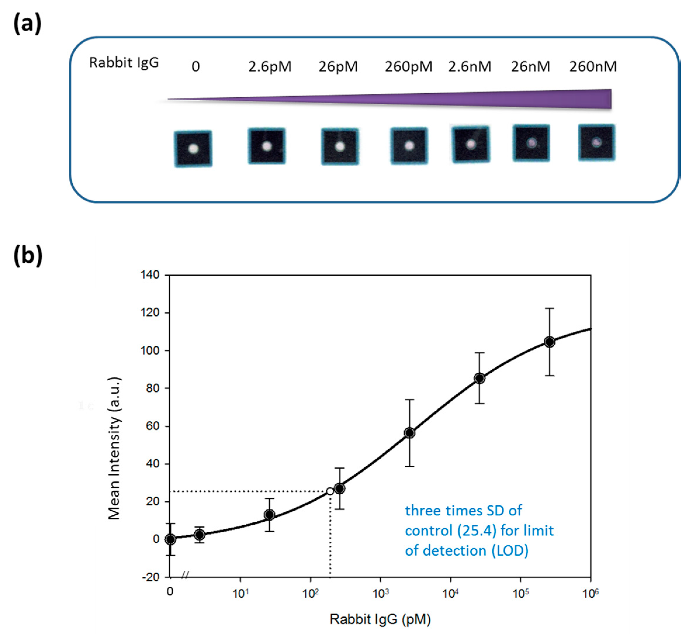 Diagnostics 09 00203 g003