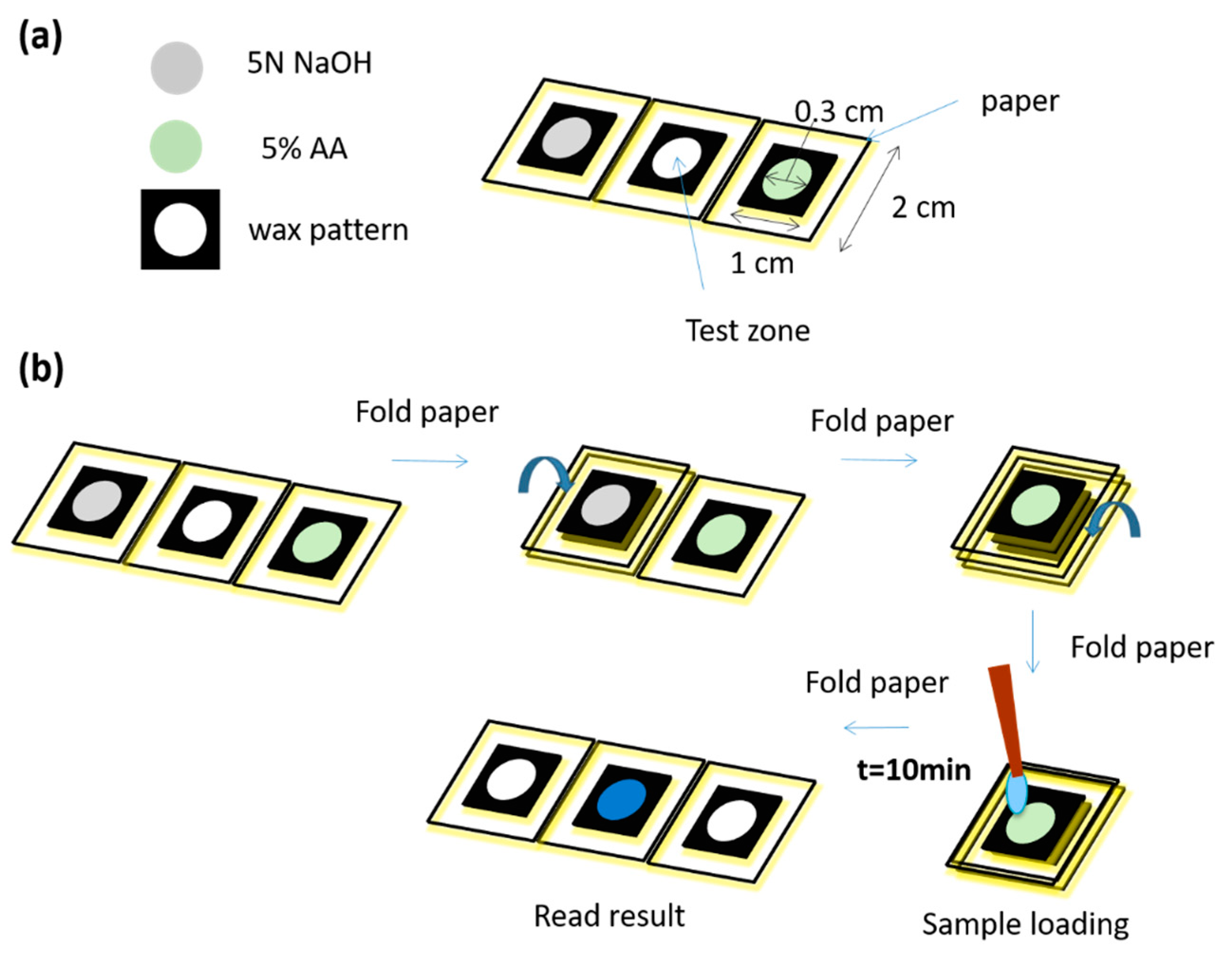Diagnostics 09 00203 g004
