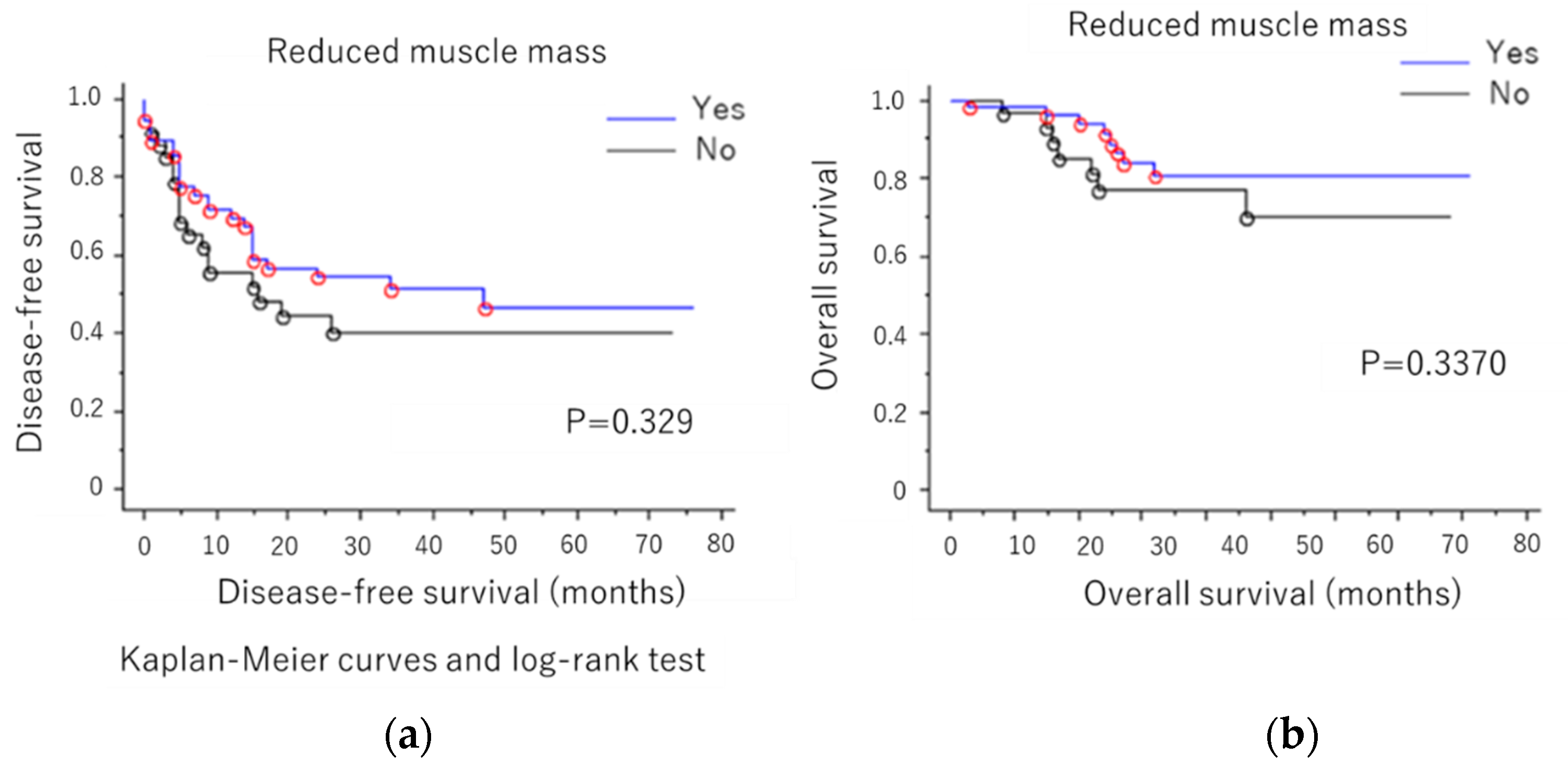 Diagnostics 09 00206 g001