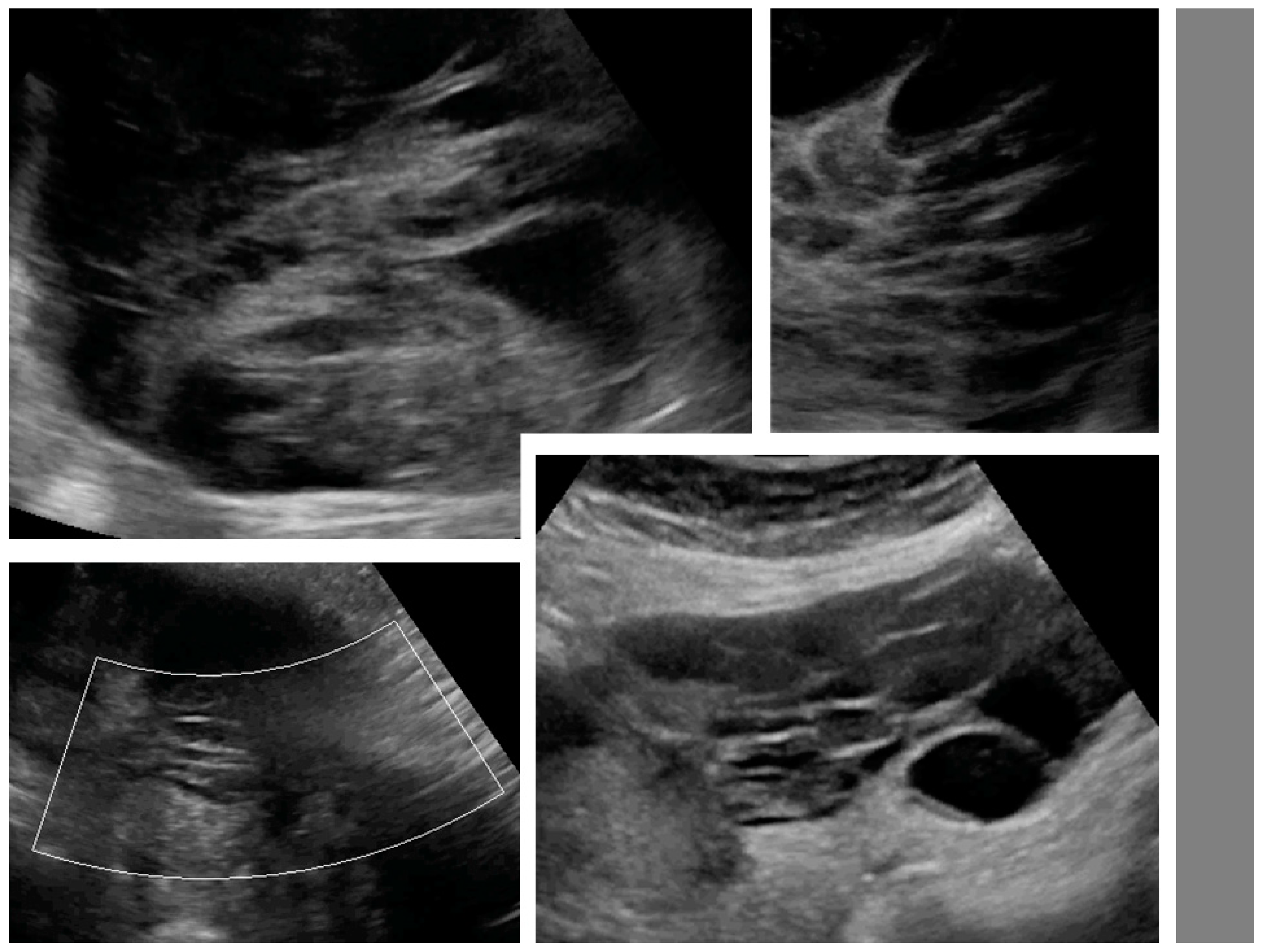 Diagnostics 09 00210 g003