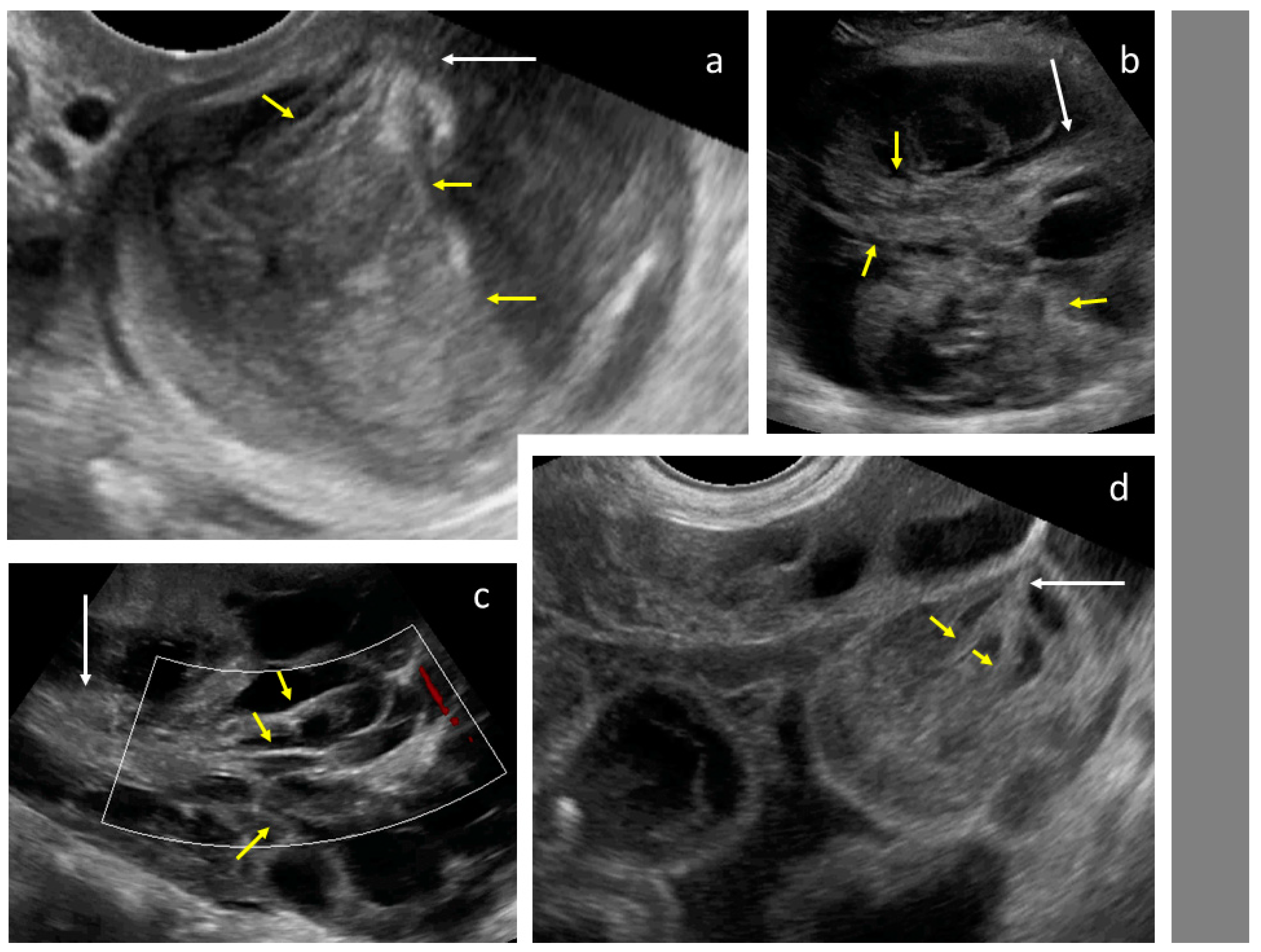 Diagnostics 09 00210 g005