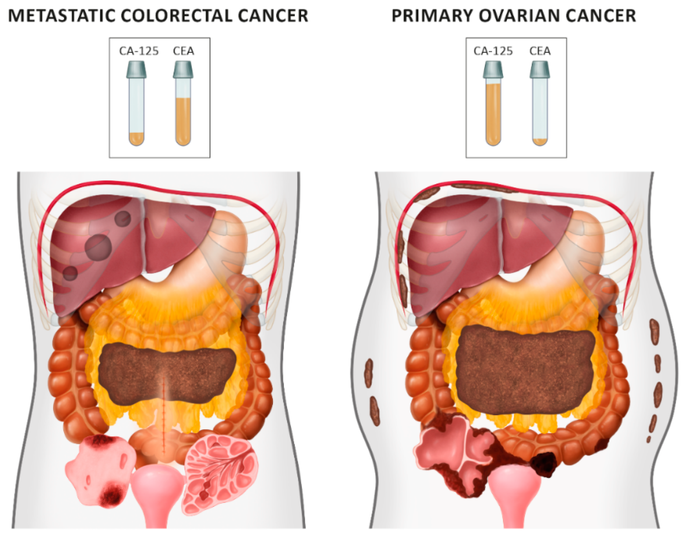 Diagnostics 09 00210 g009