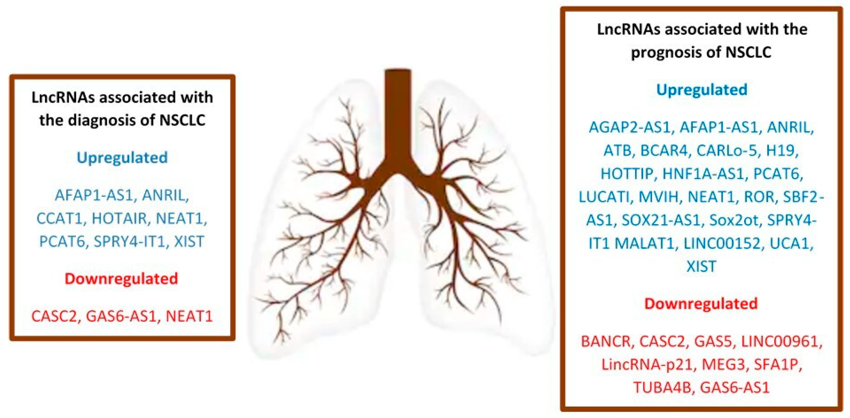 Diagnostics 09 00216 g001