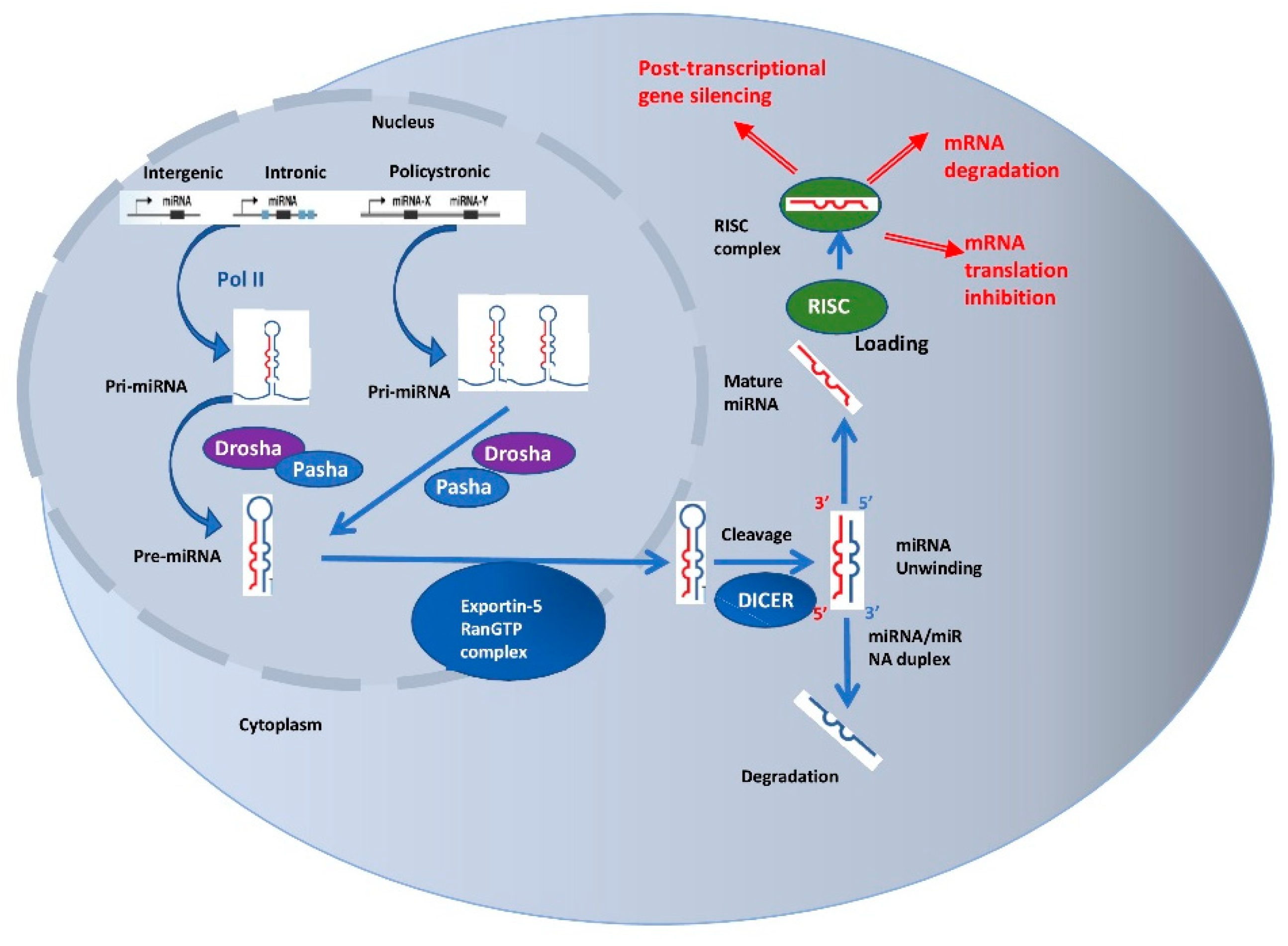 Diagnostics 09 00216 g002