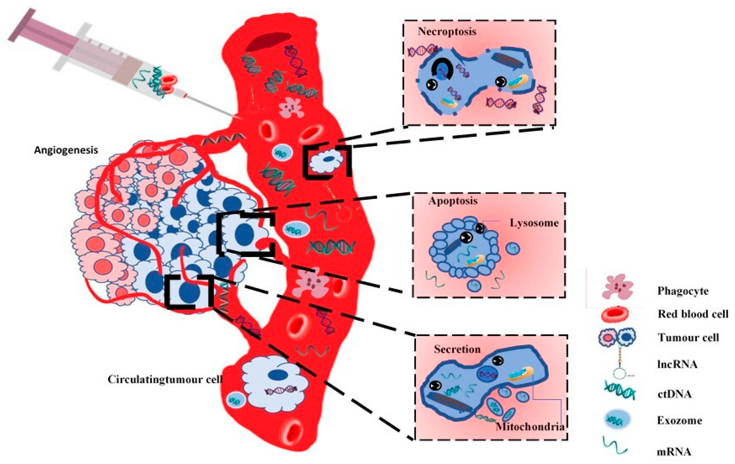 Diagnostics 09 00216 g003