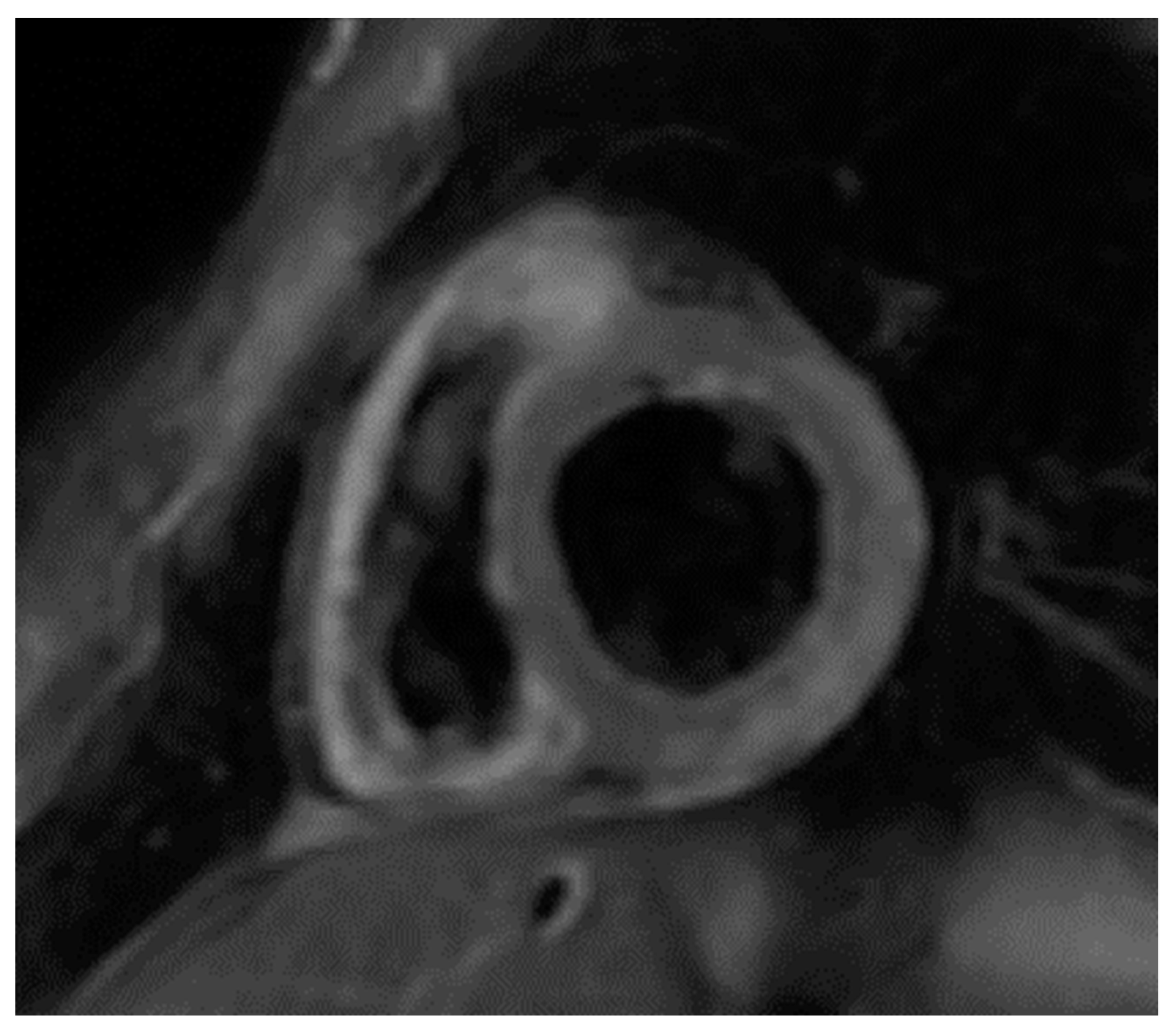 Diagnostics 09 00217 g001