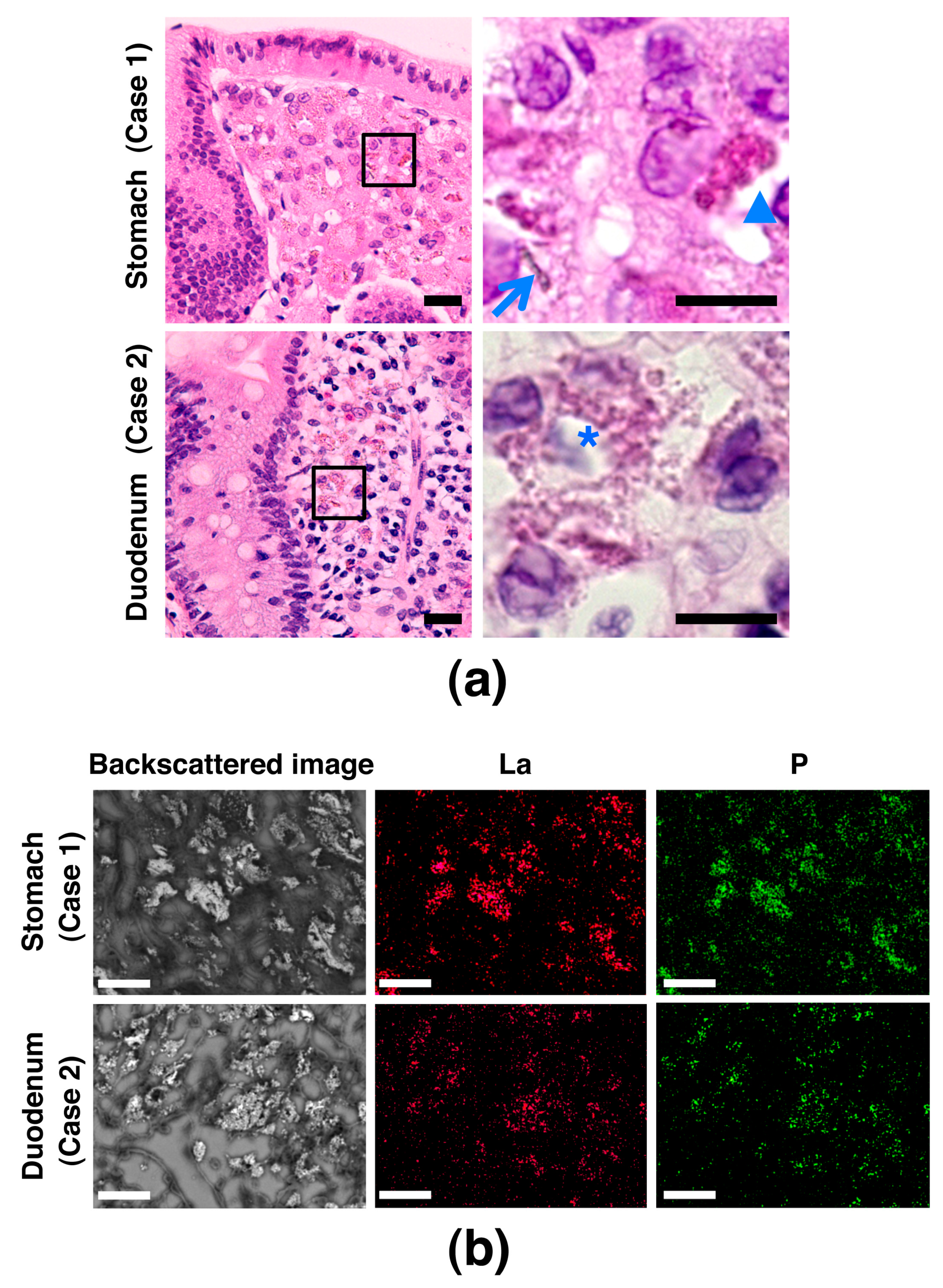 Diagnostics 10 00001 g002 Diagnostics 10 00001 g002