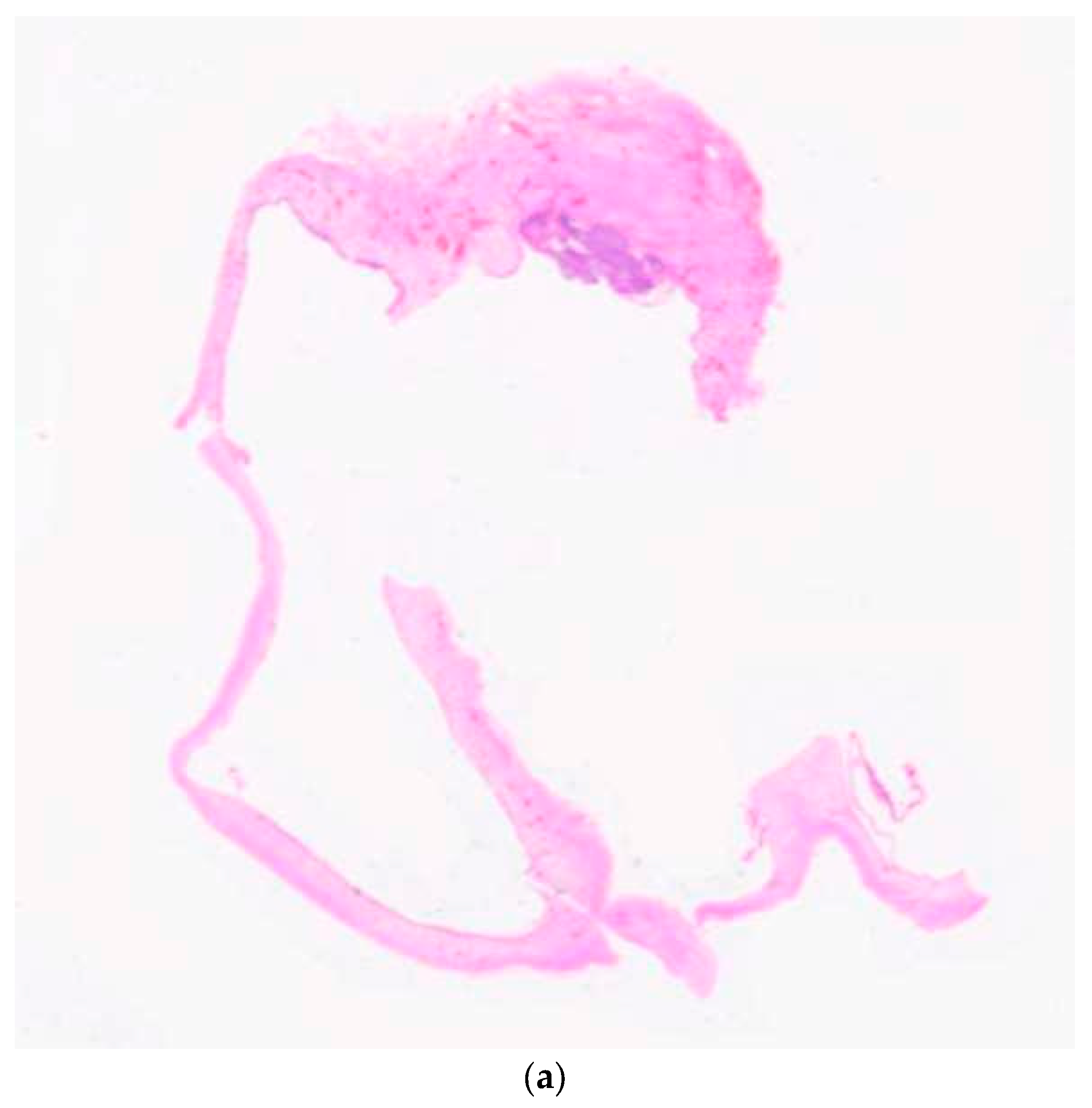 Diagnostics 10 00003 g001a