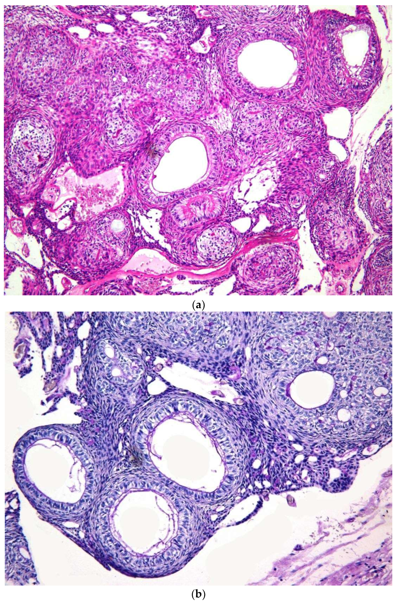 Diagnostics 10 00003 g002