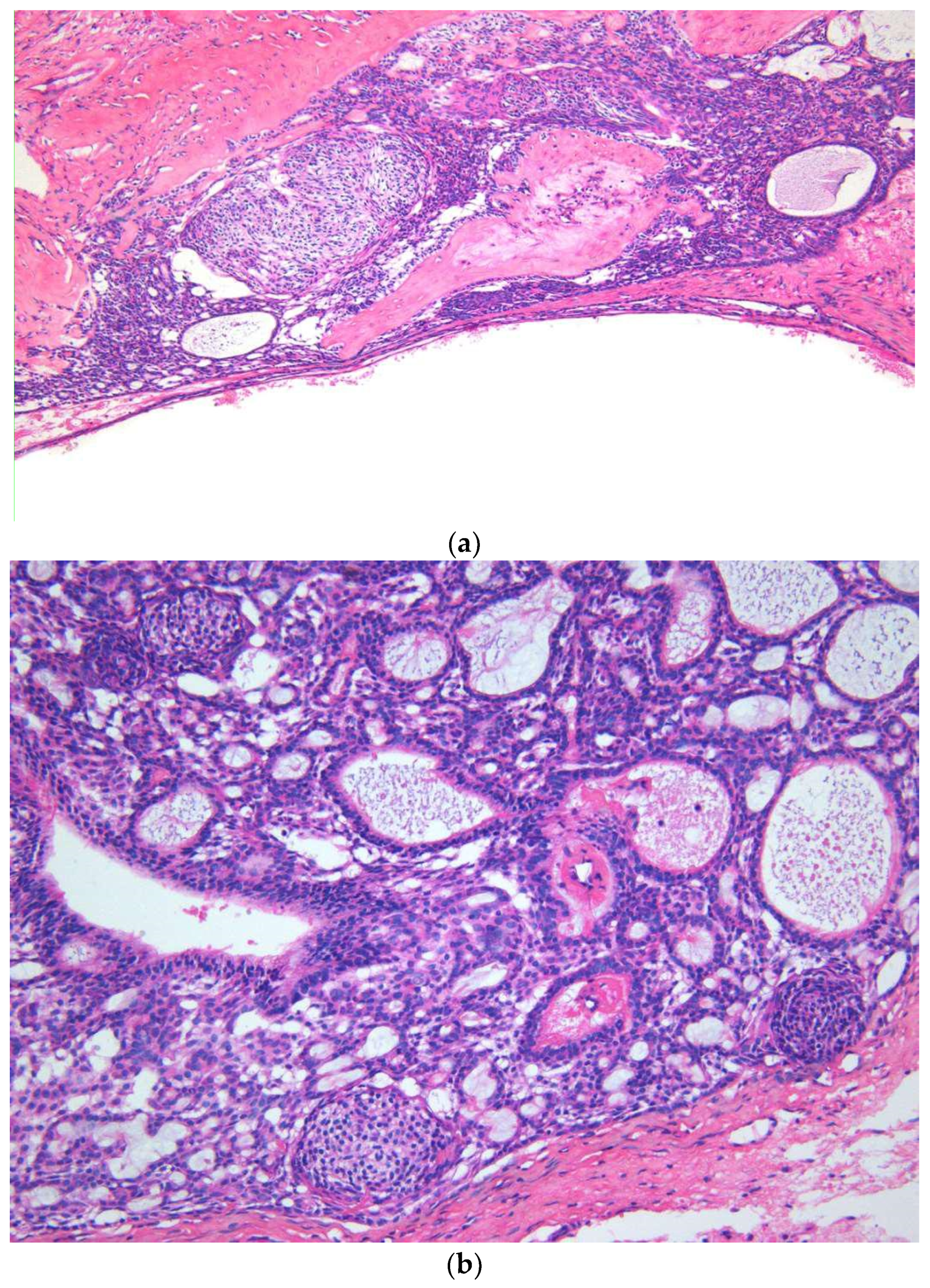 Diagnostics 10 00003 g003