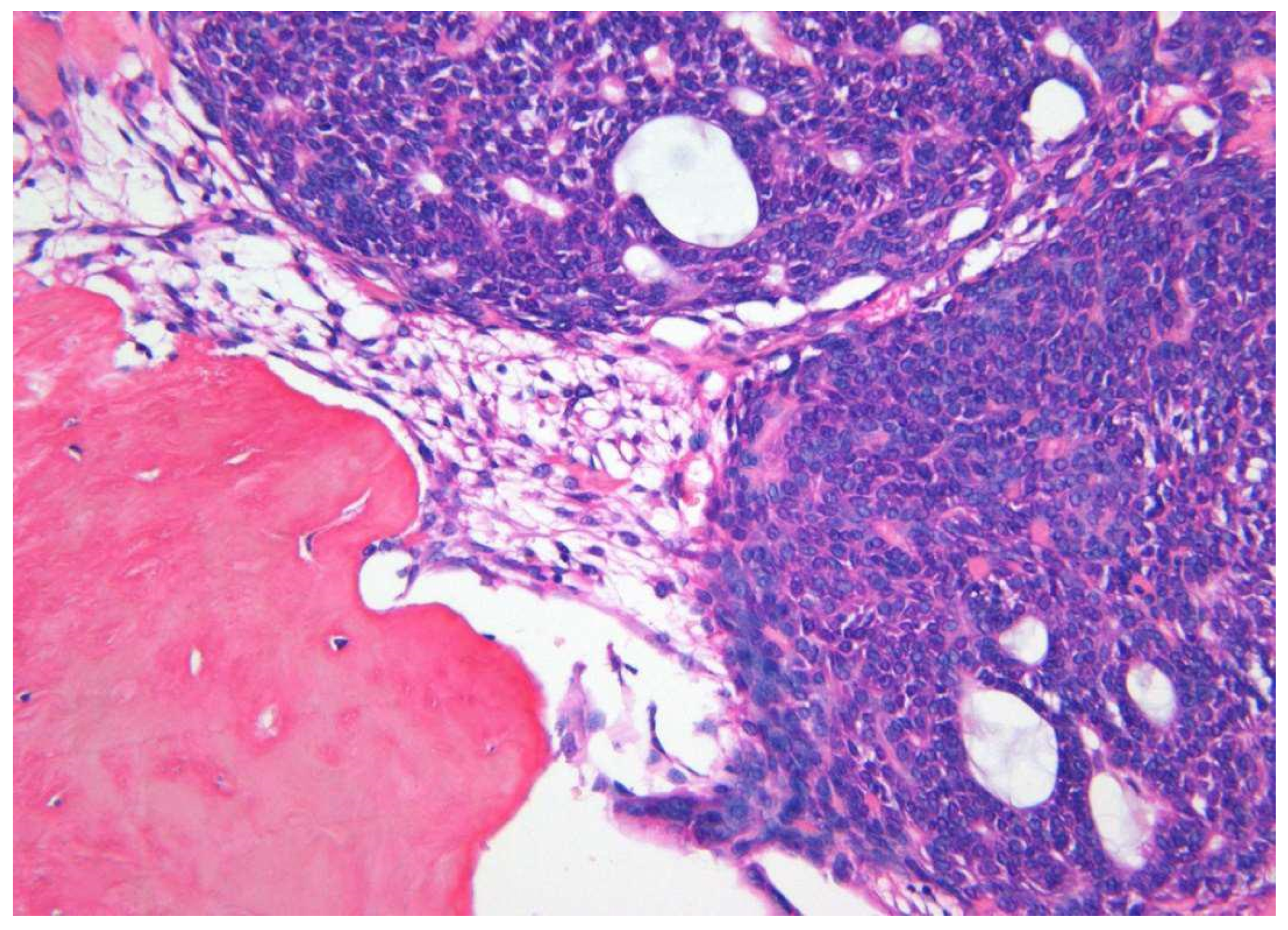 Diagnostics 10 00003 g004