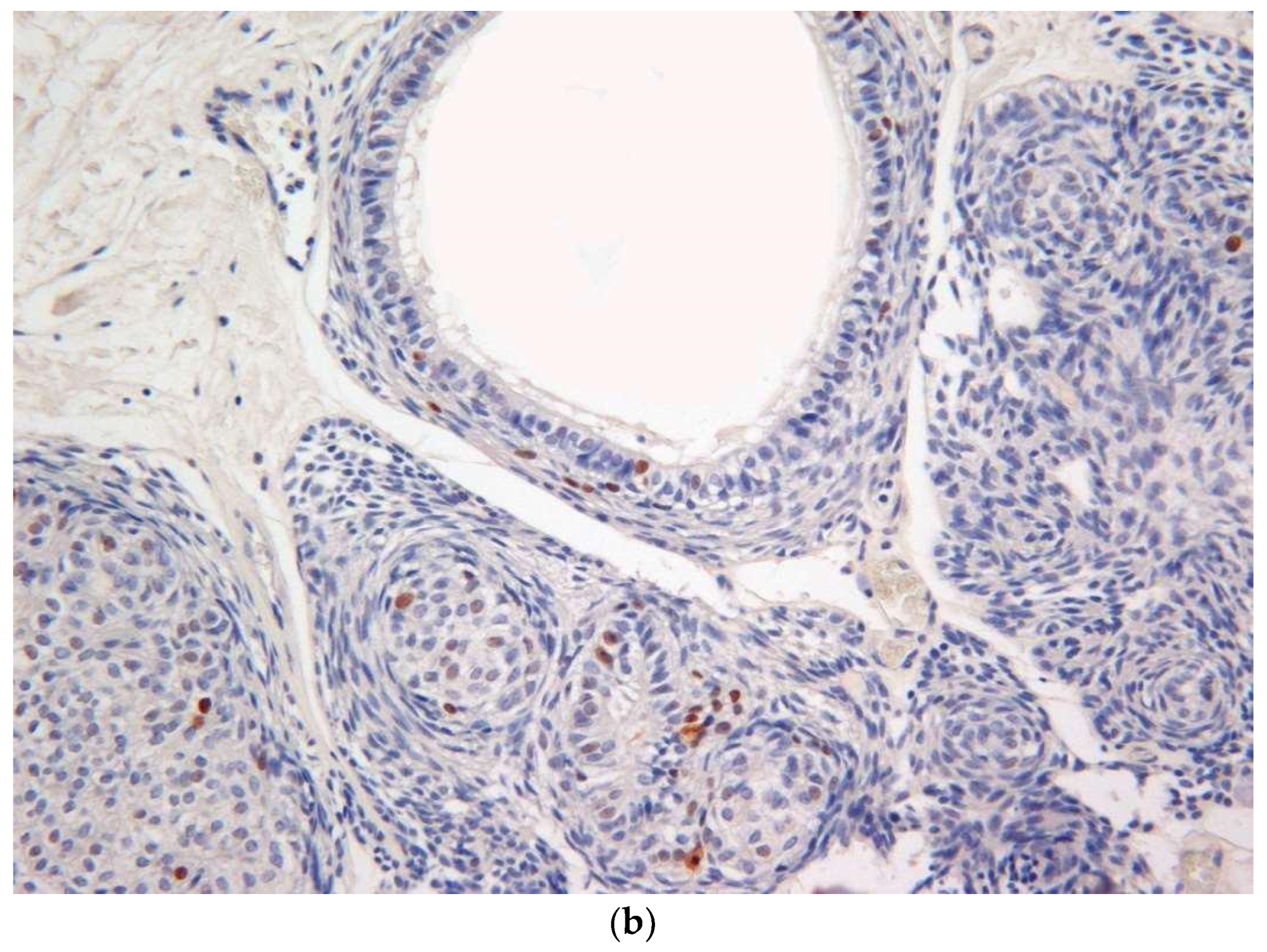 Diagnostics 10 00003 g005b