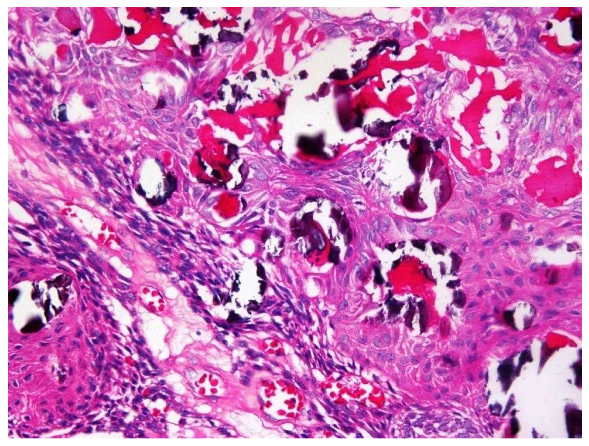 Diagnostics 10 00003 g006