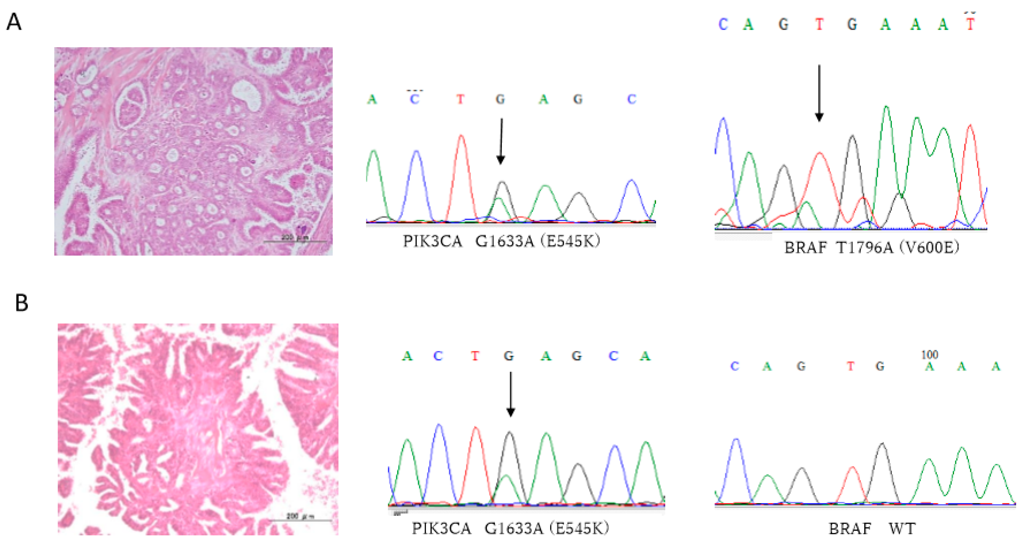Diagnostics 10 00013 g003