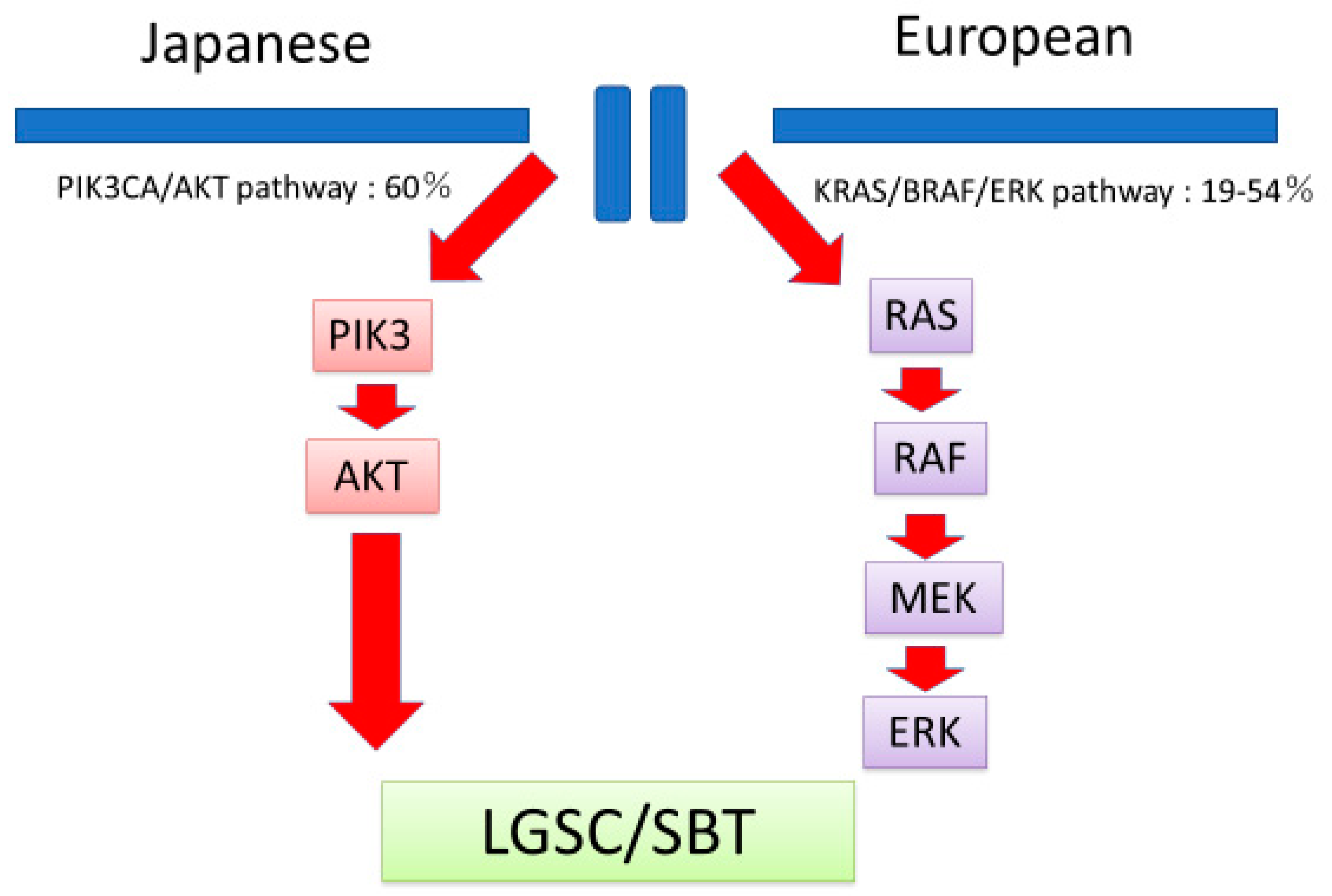 Diagnostics 10 00013 g004