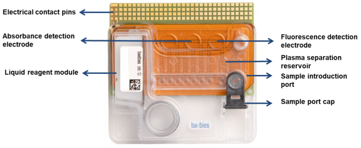 Diagnostics 10 00021 g002