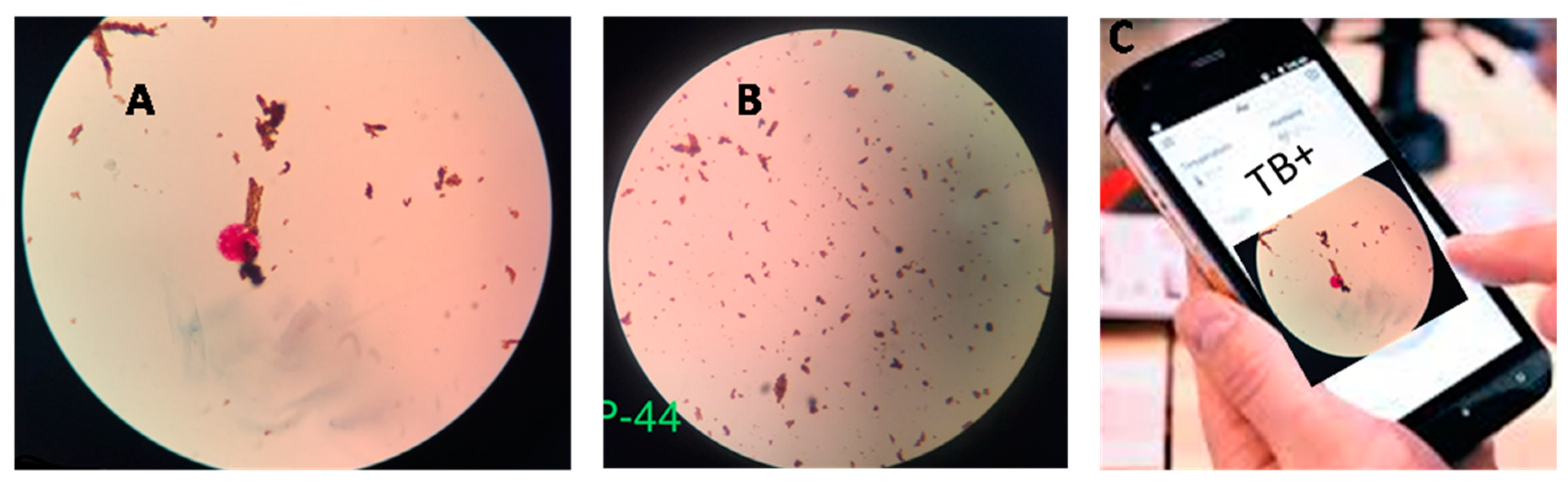 Diagnostics 10 00022 g002