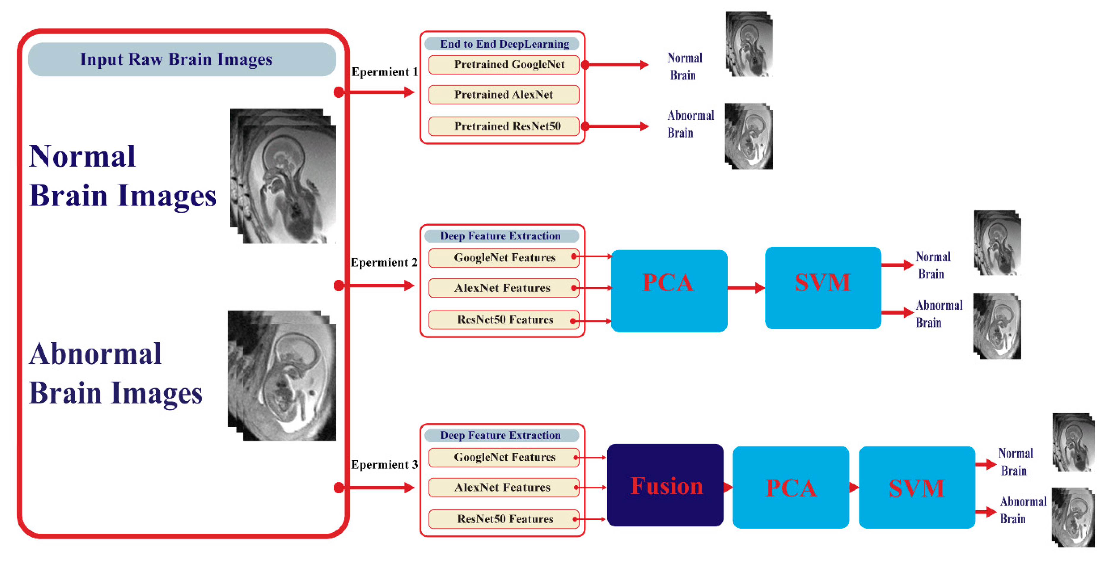 Diagnostics 10 00027 g005 Diagnostics 10 00027 g005