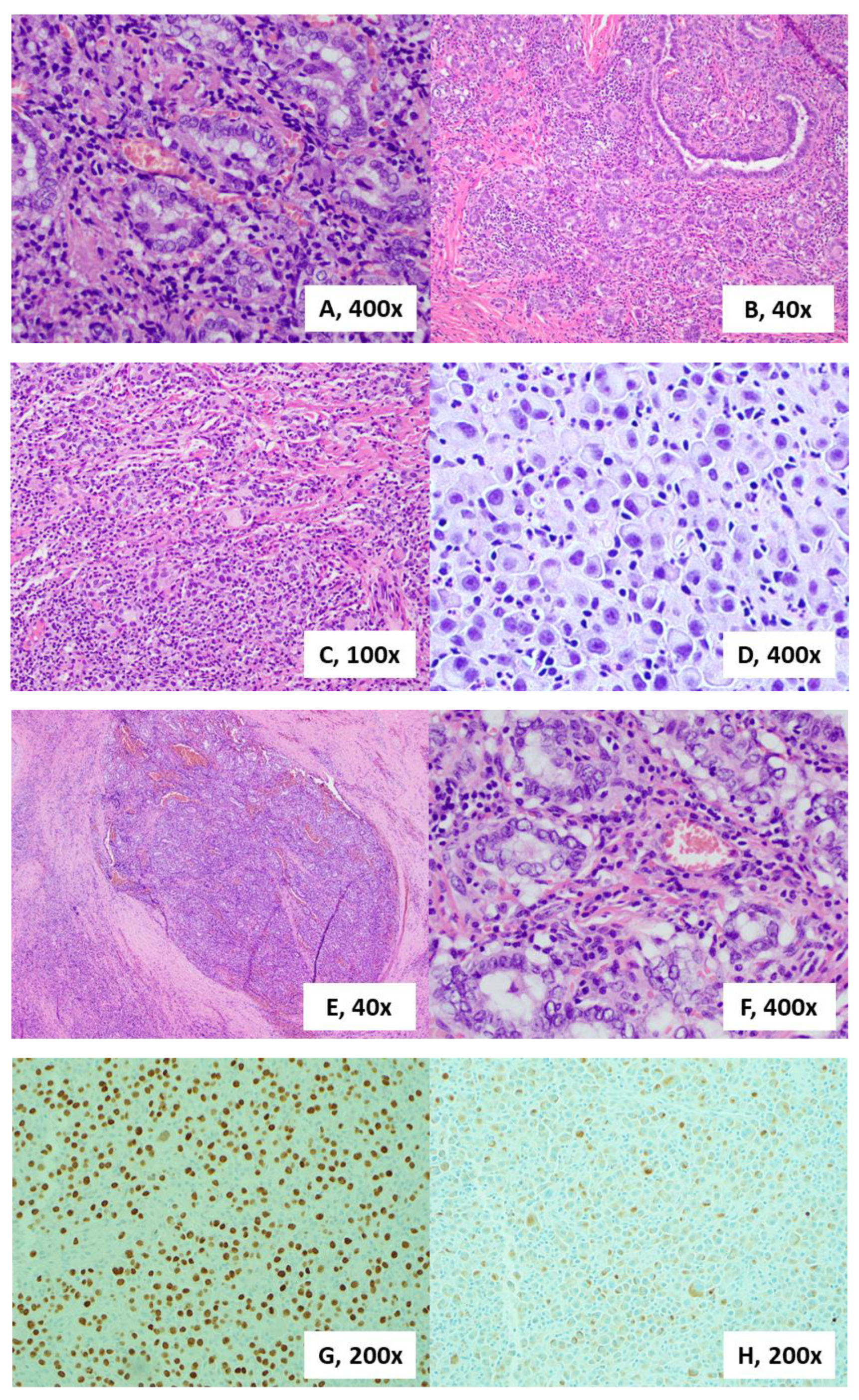 Diagnostics 10 00029 g002