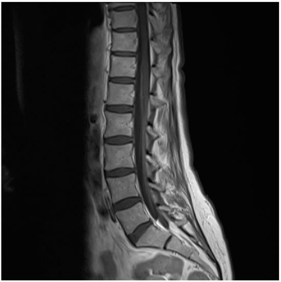 Diagnostics 10 00036 g001