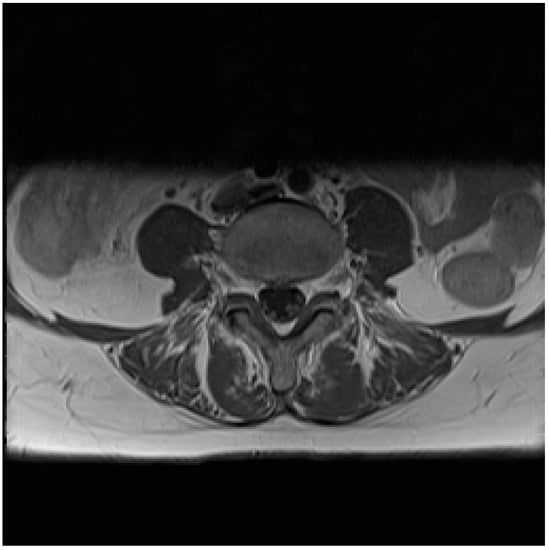 Diagnostics 10 00036 g002