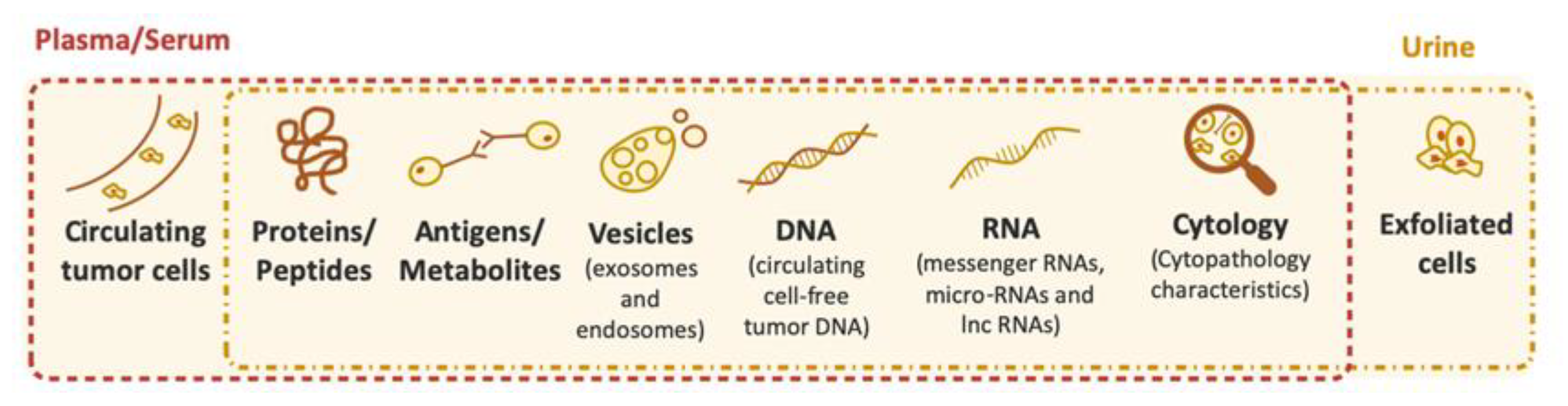 Diagnostics 10 00039 g002