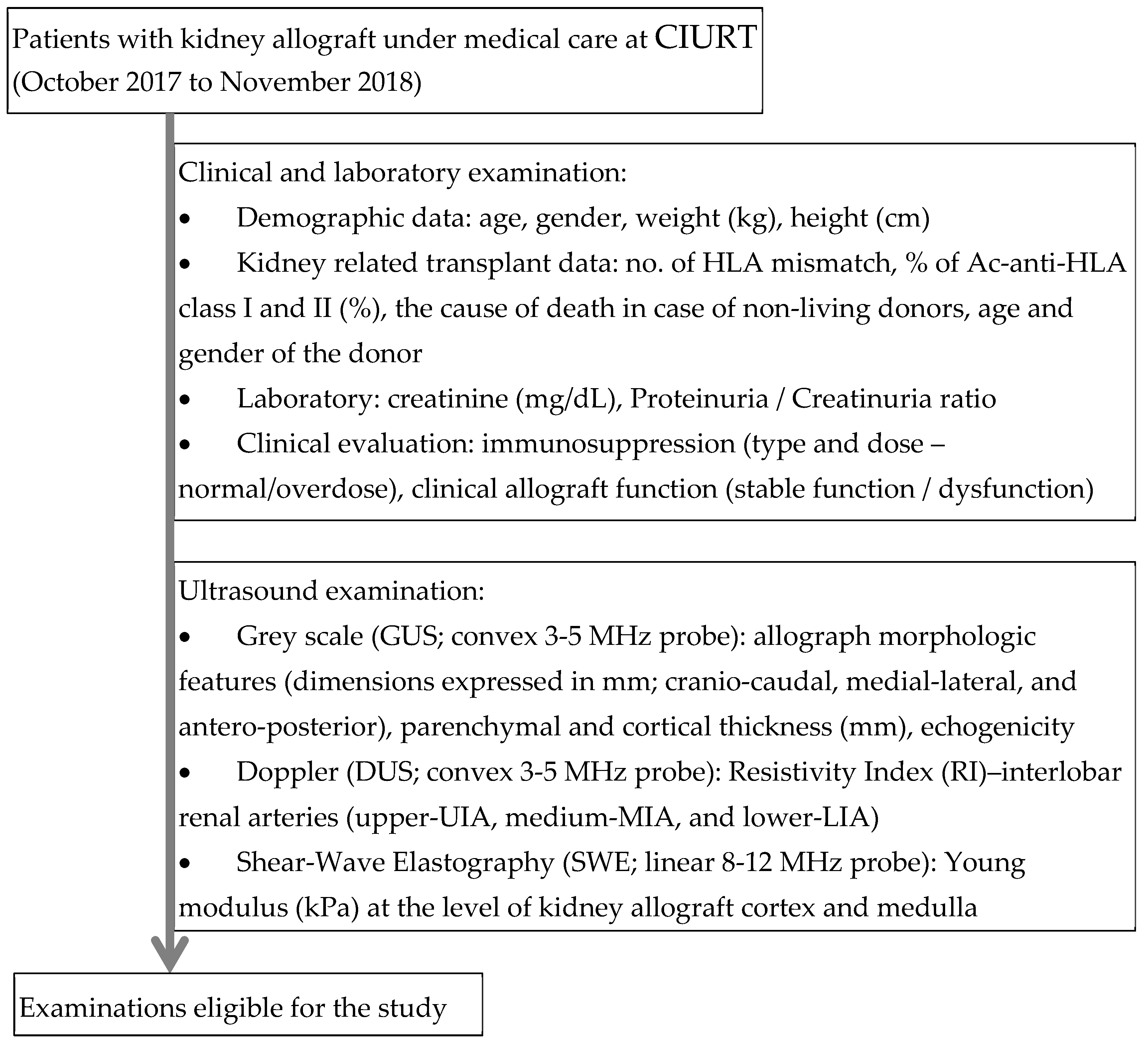 Diagnostics 10 00041 g001