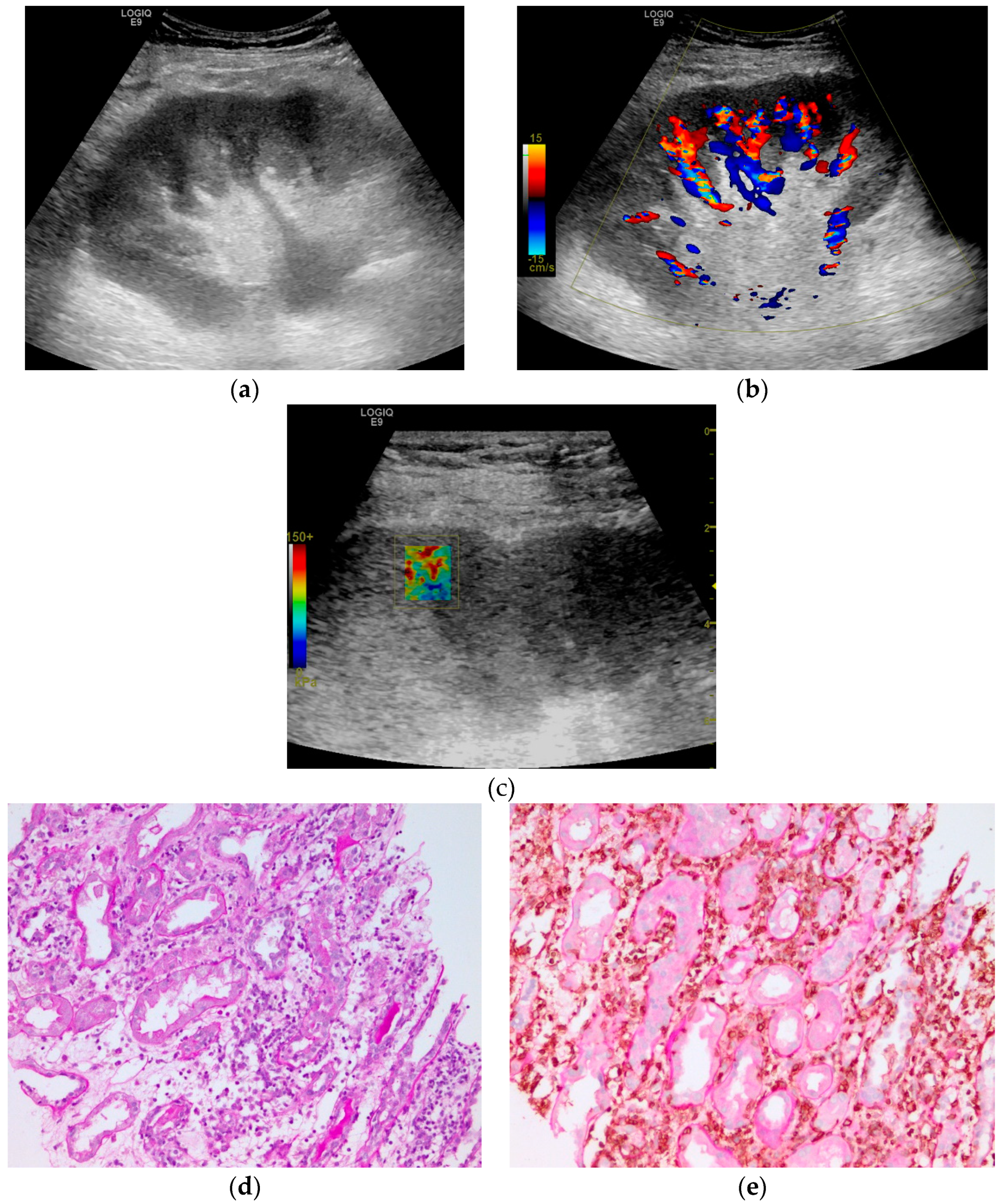 Diagnostics 10 00041 g004