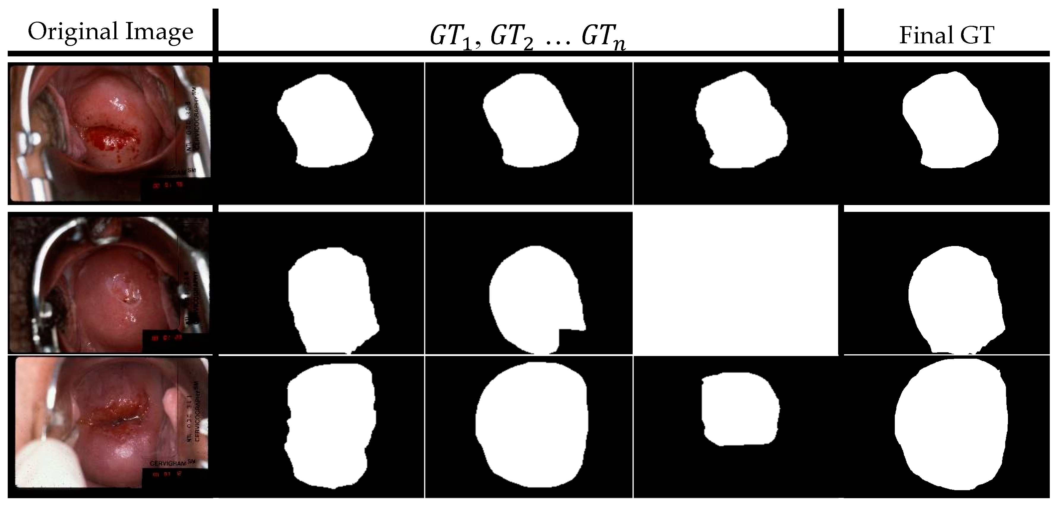 Diagnostics 10 00044 g001