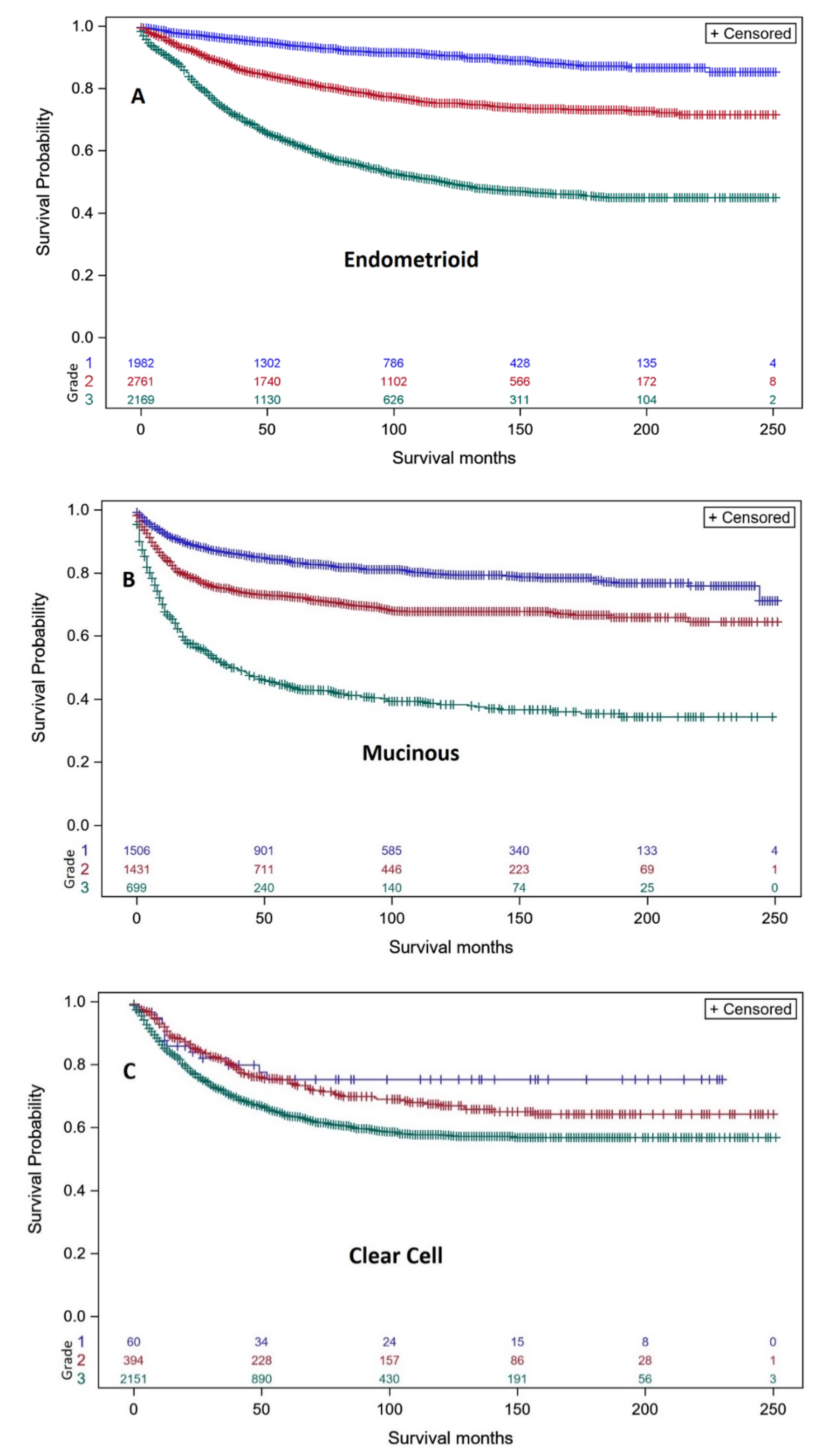 Diagnostics 10 00056 g002