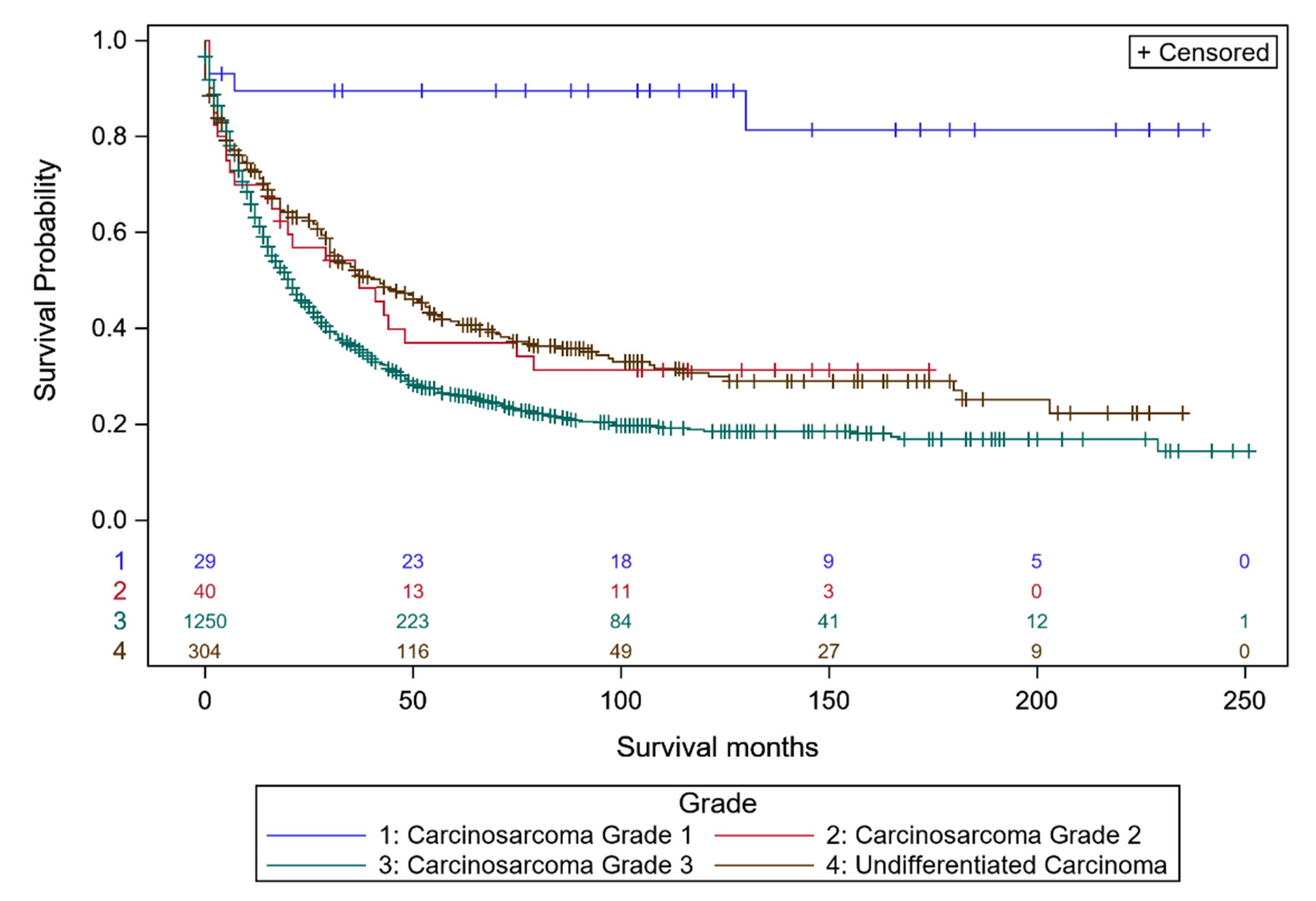 Diagnostics 10 00056 g003