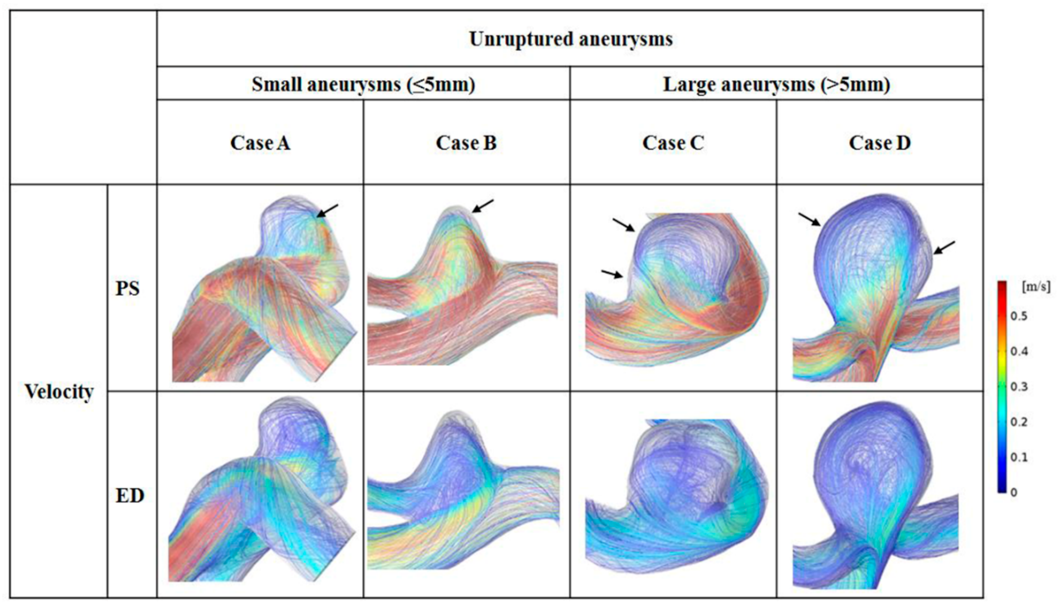 Diagnostics 10 00064 g003