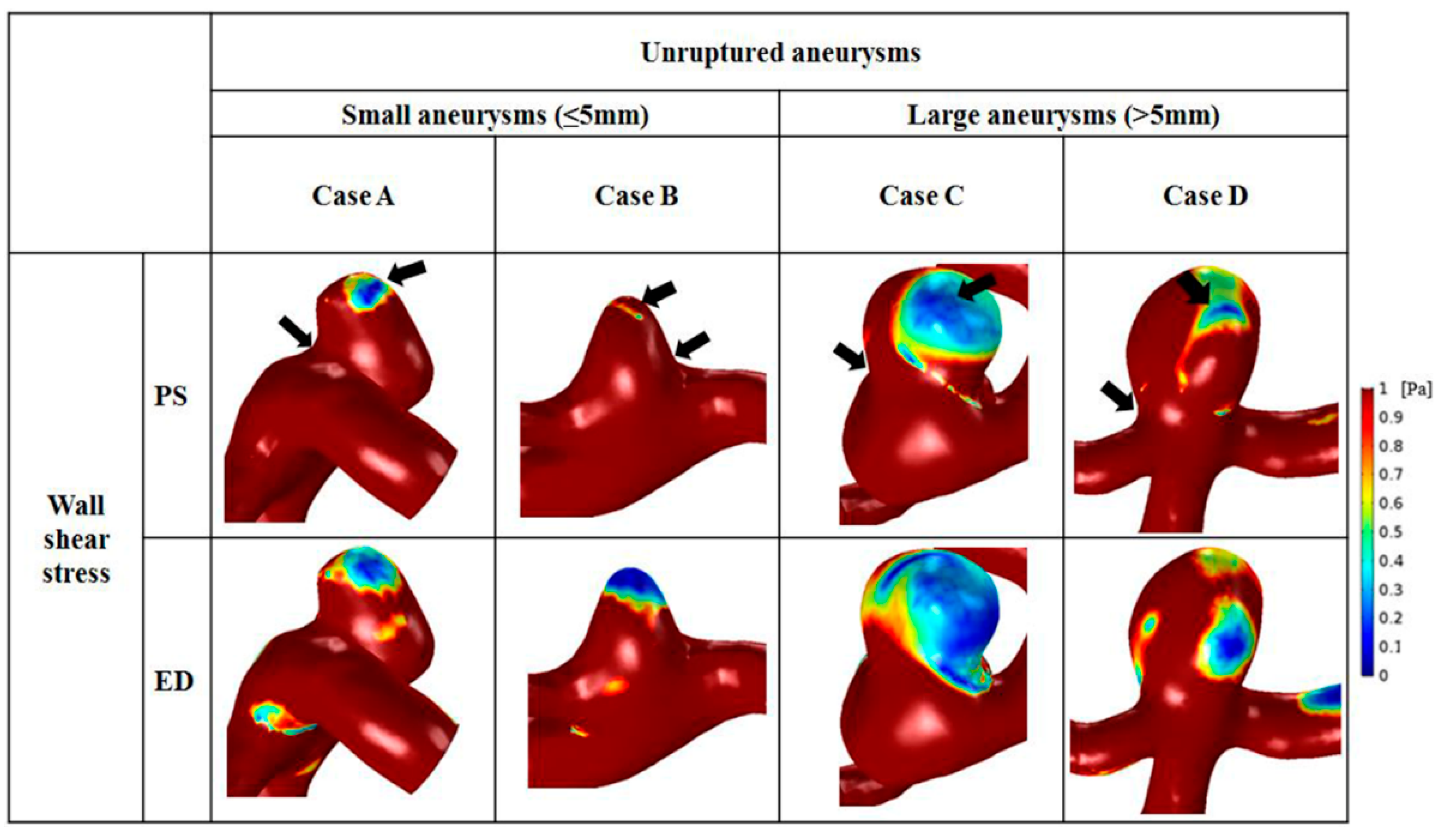 Diagnostics 10 00064 g006